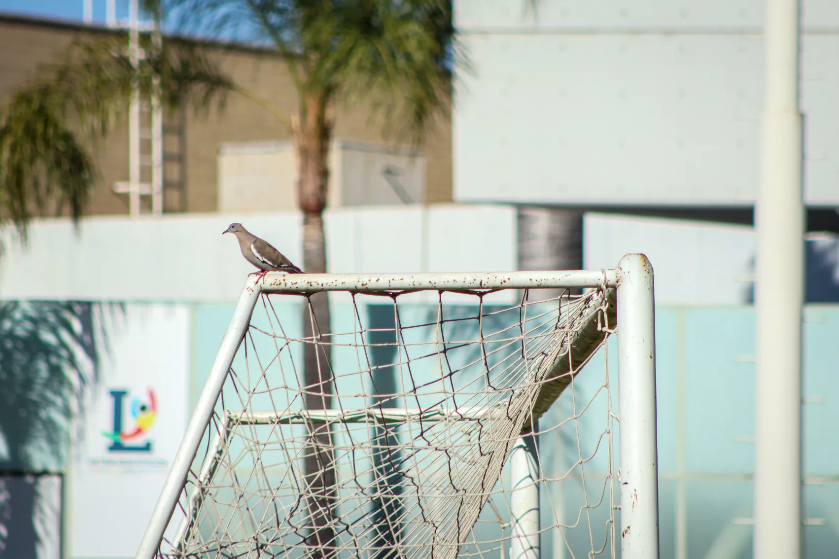 banner-partido