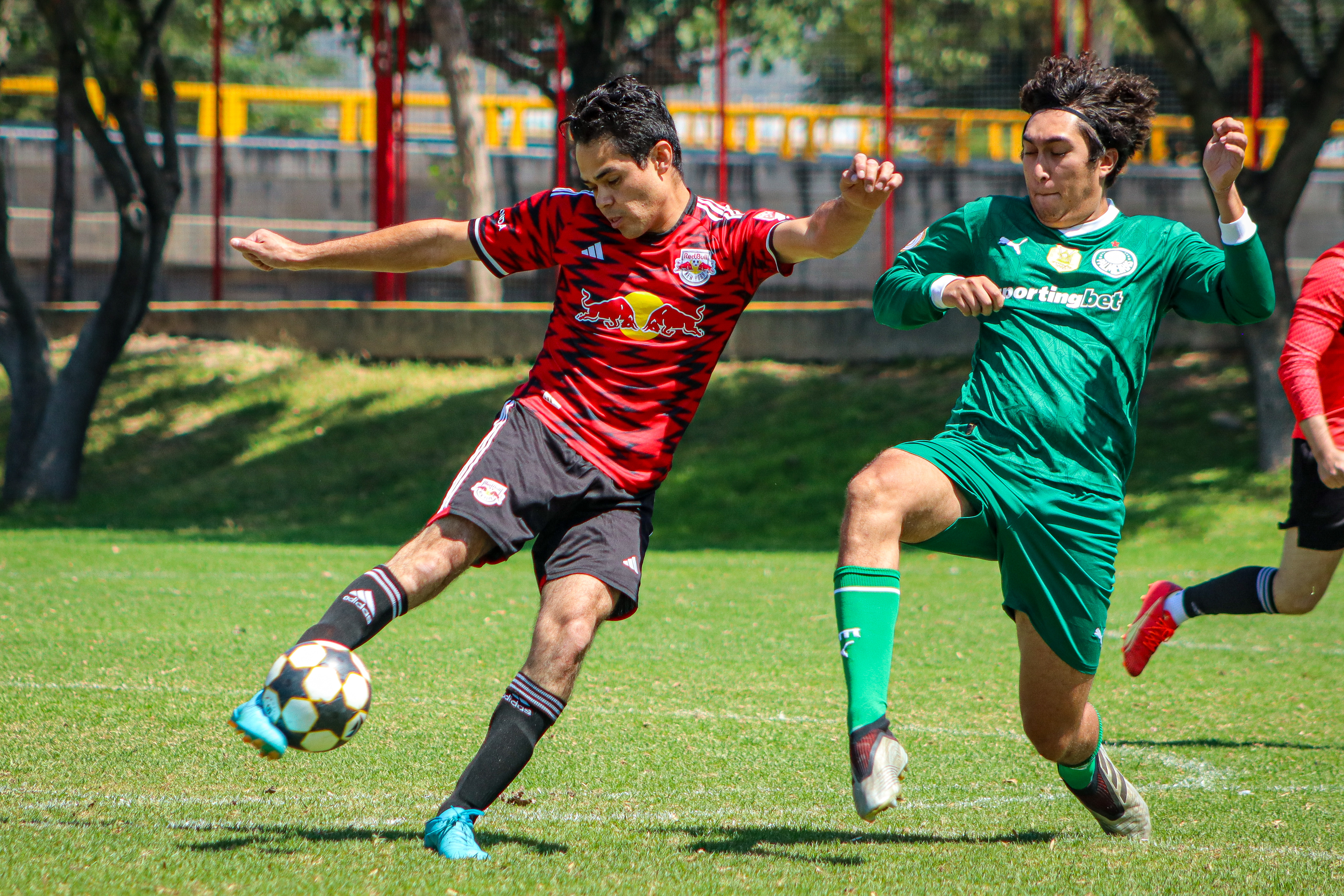 banner-partido