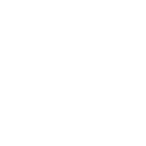 The Boost Co.