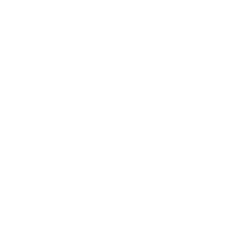 Dr. Hauston
