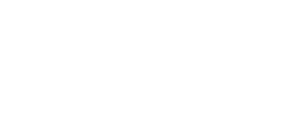 Vizmediq