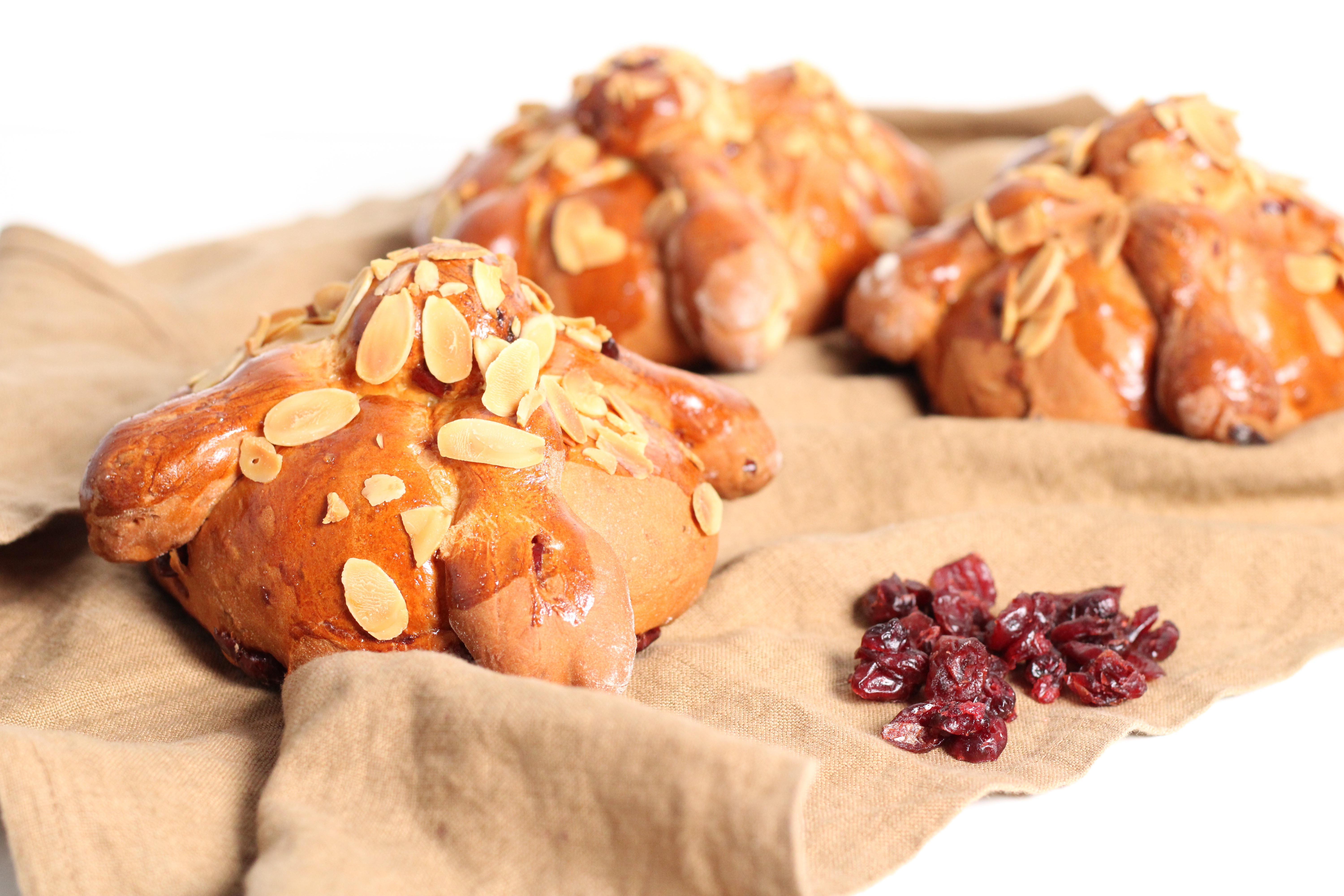 Pan de Muerto Gourmet BN