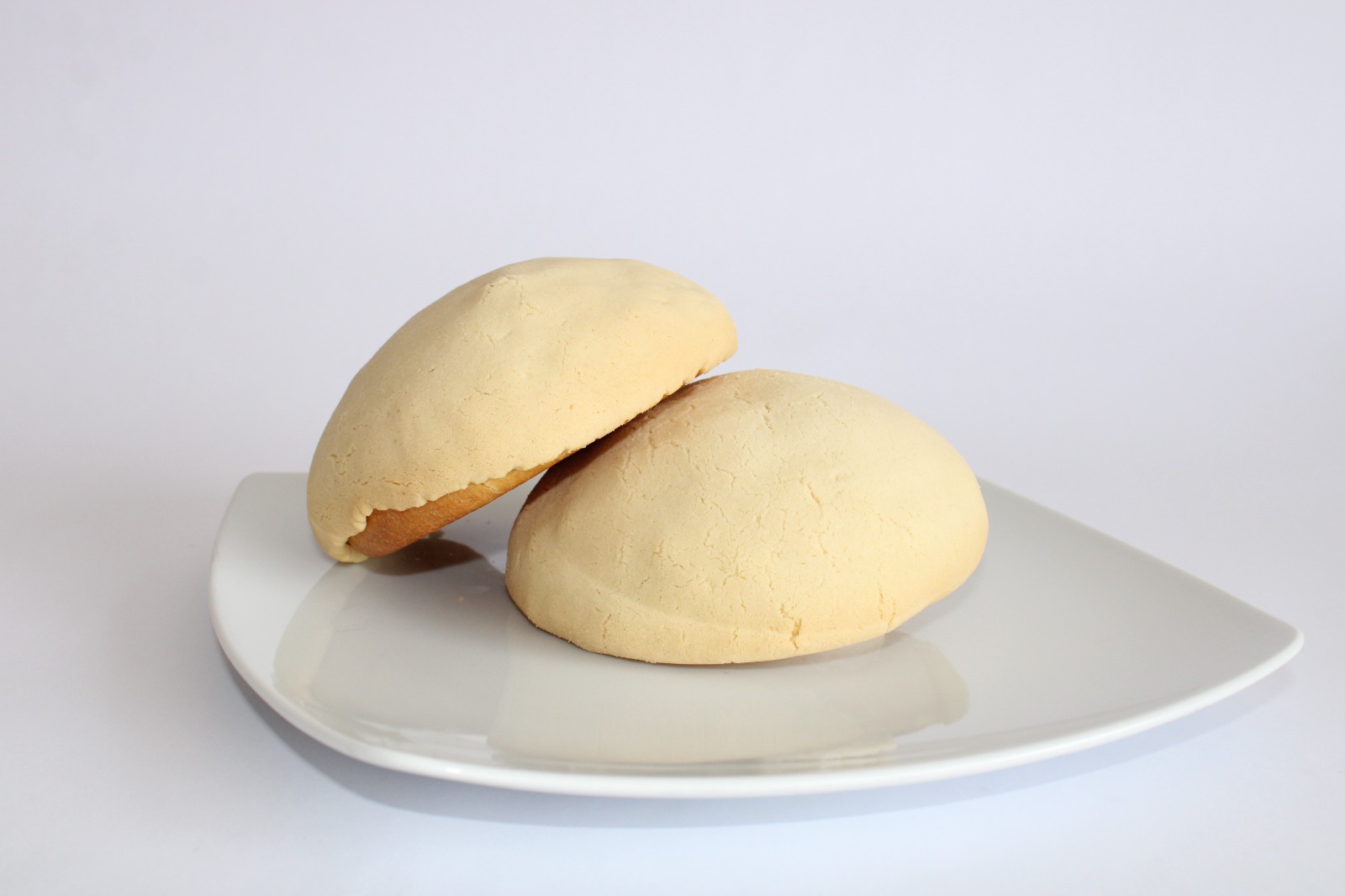 Concha Gourmet BN