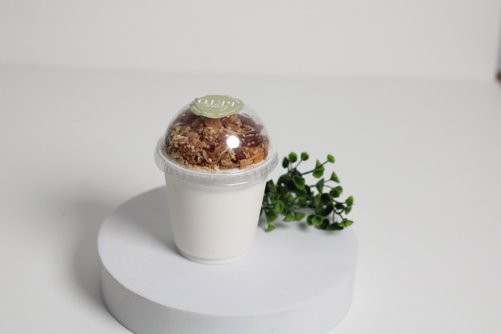 Yogurt Natural con Granola KT