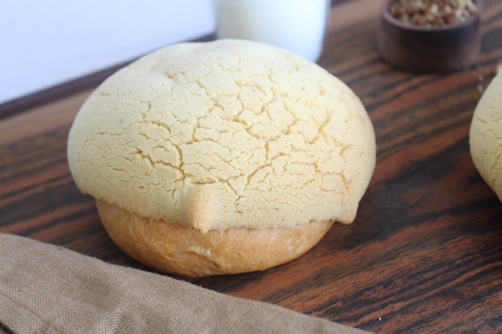 Concha Gourmet RG