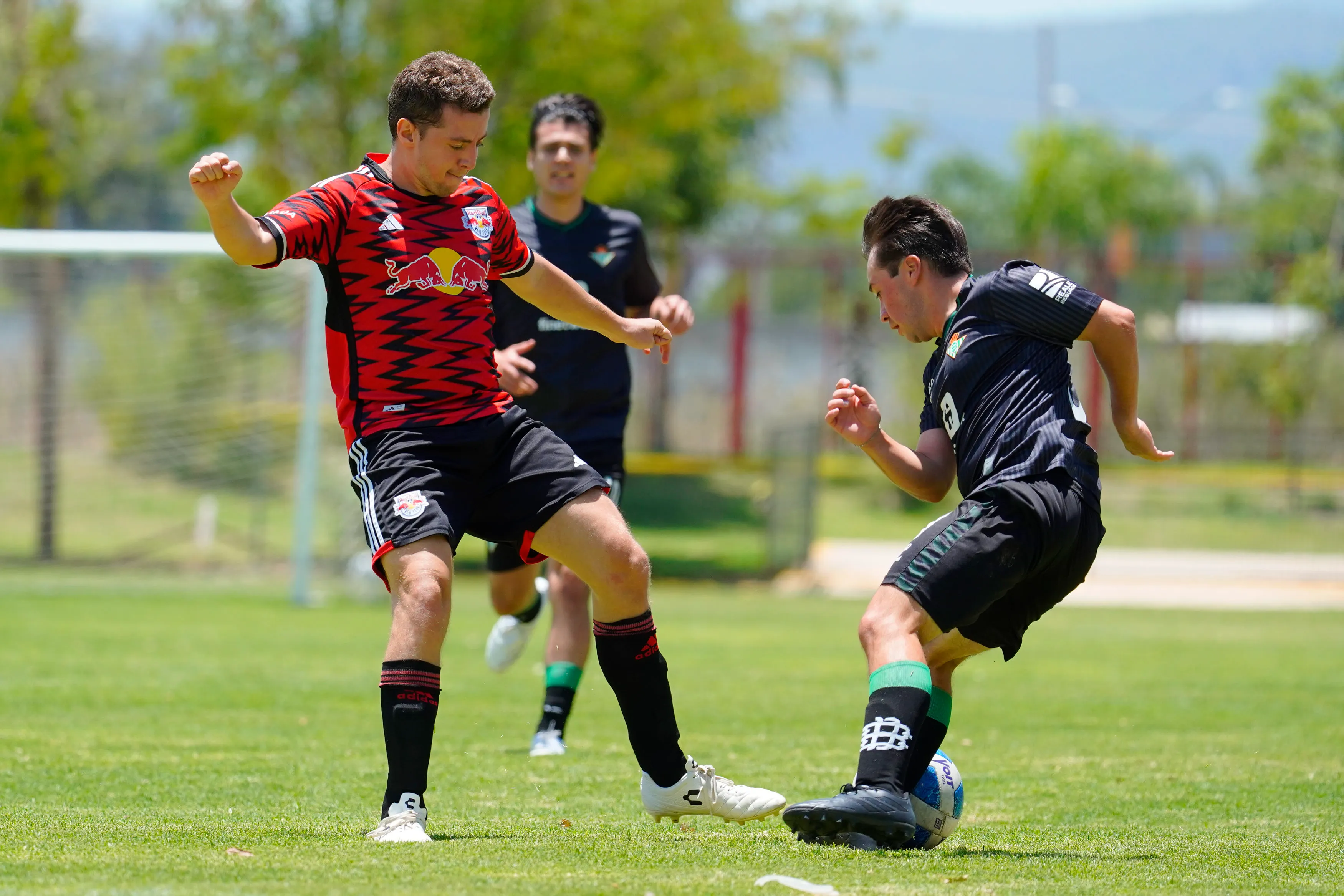 banner-partido
