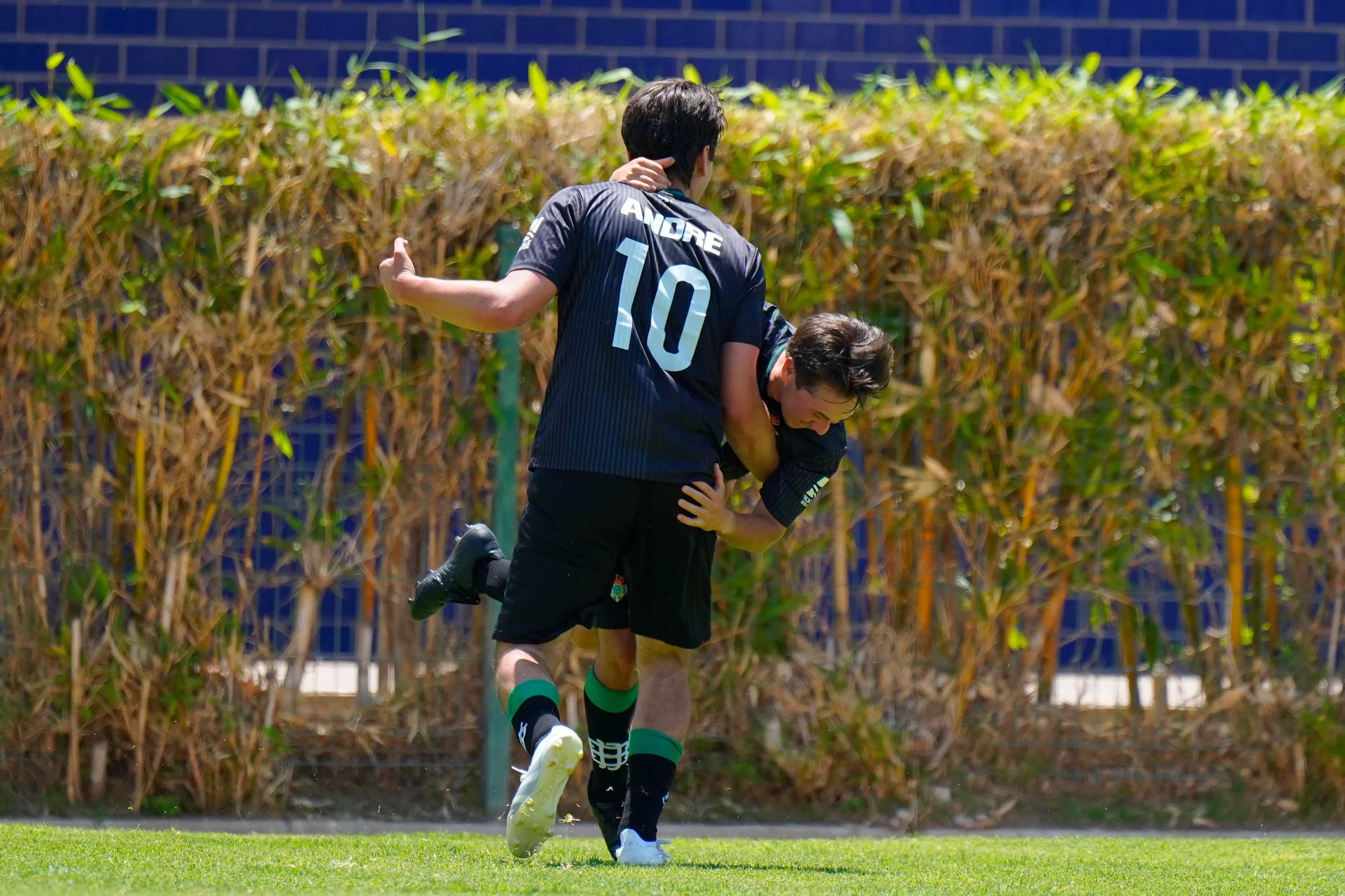 banner-partido