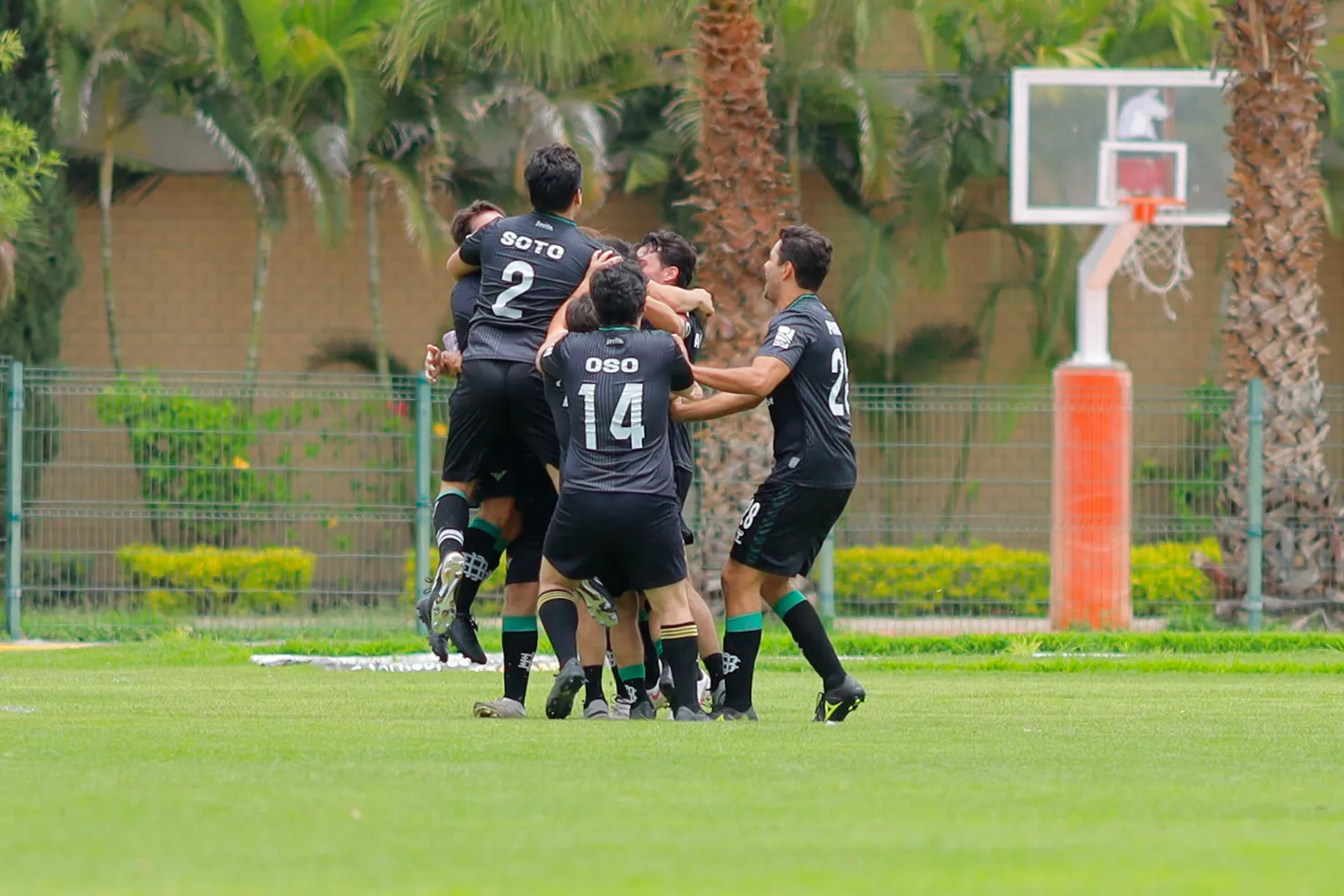 banner-partido