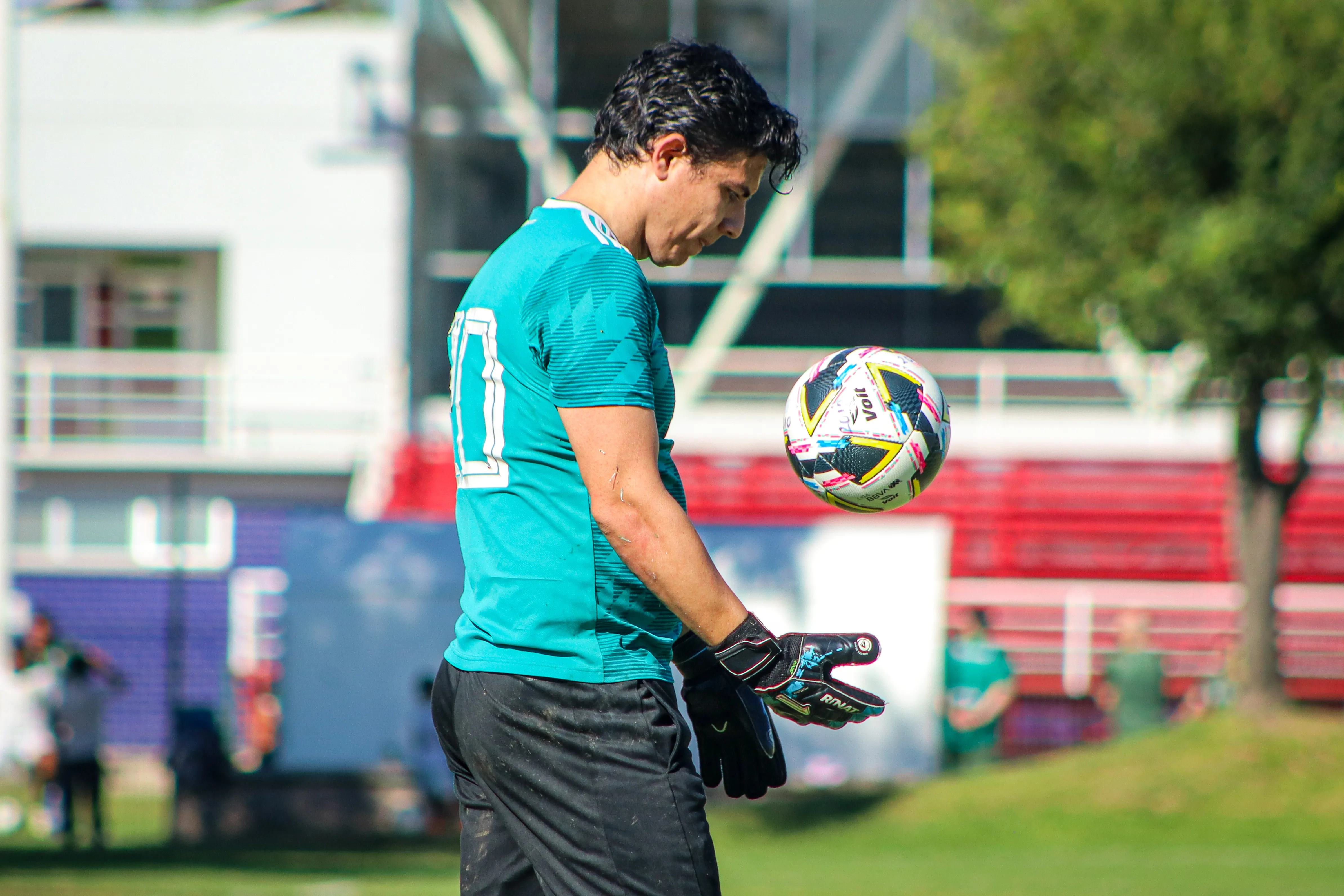 banner-partido