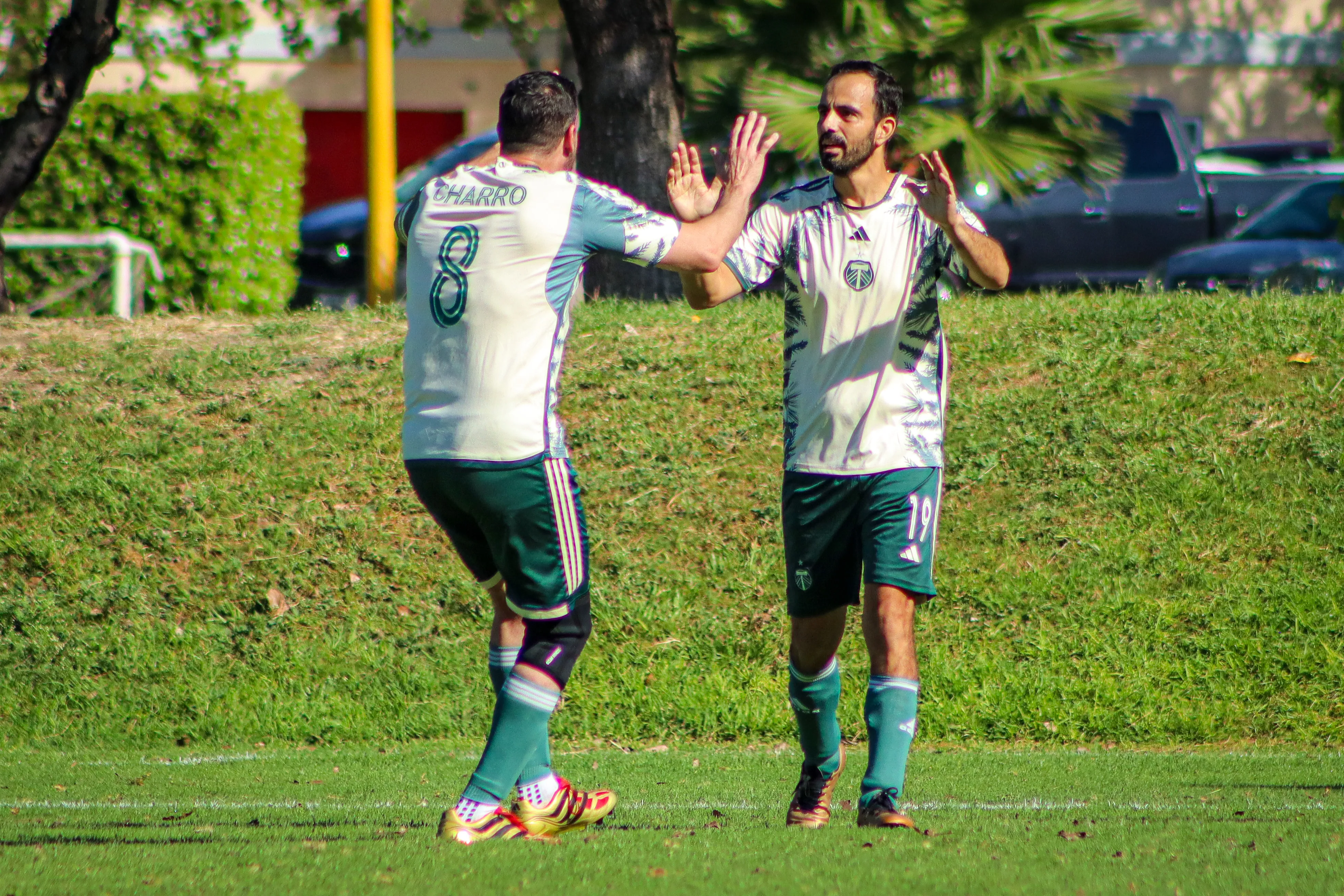 banner-partido