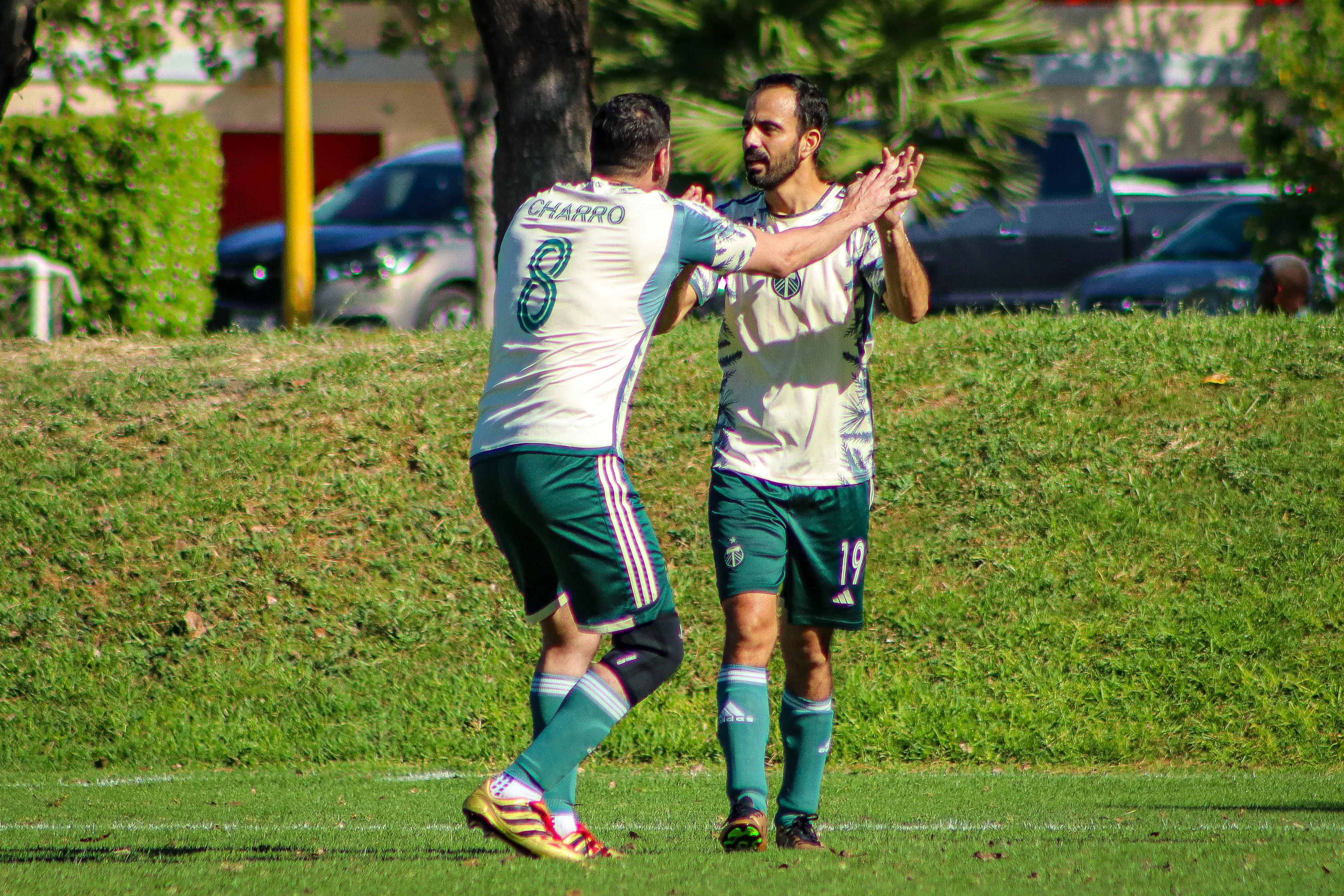 banner-partido