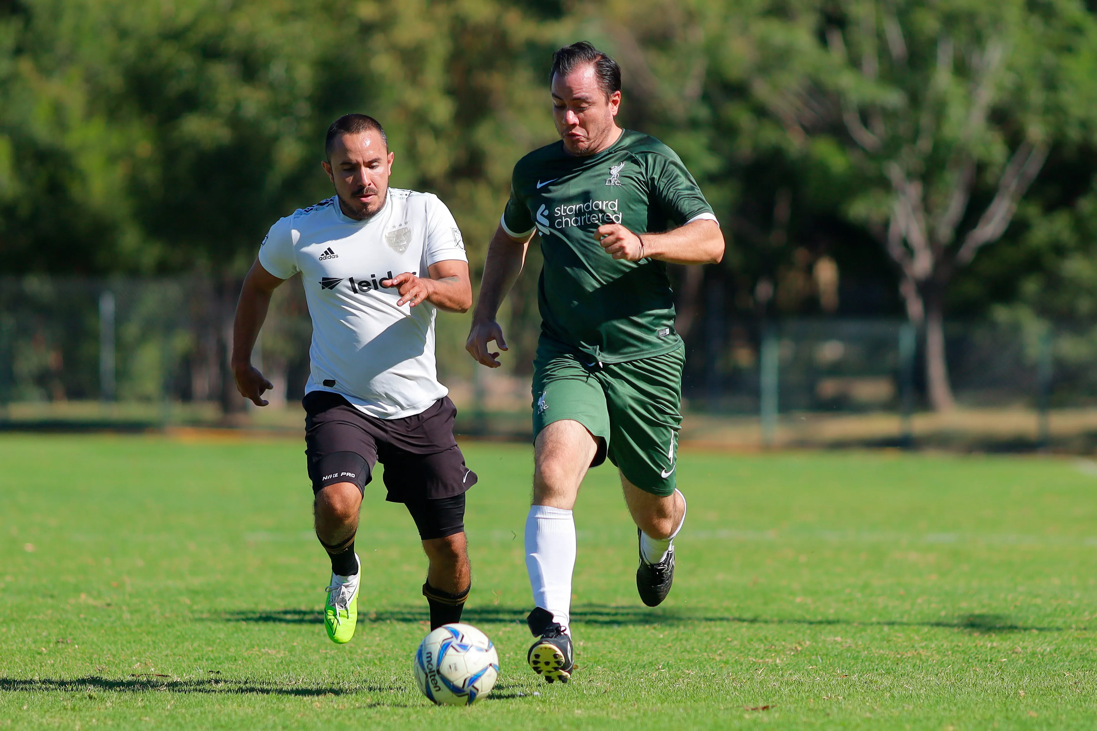 banner-partido