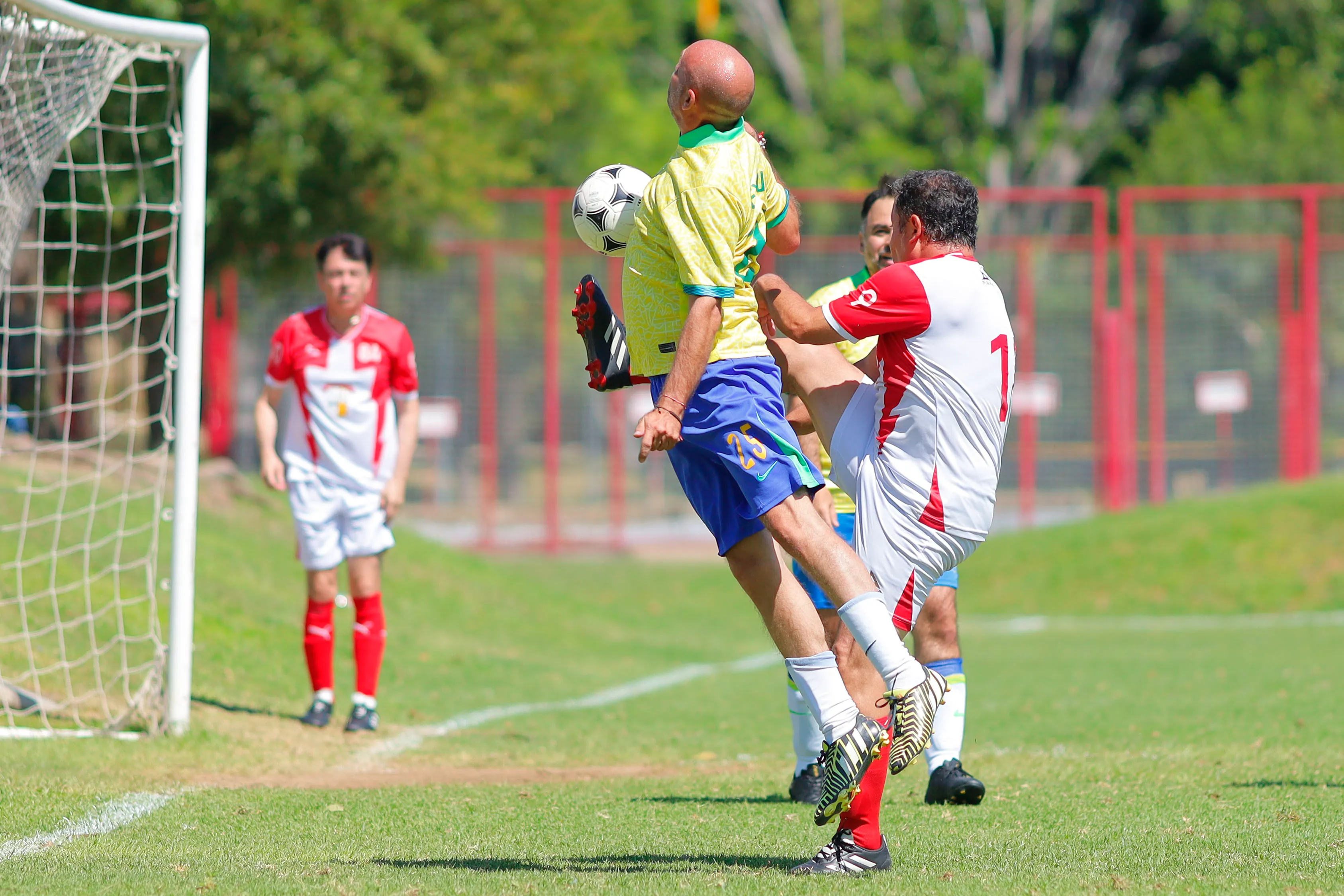 banner-partido