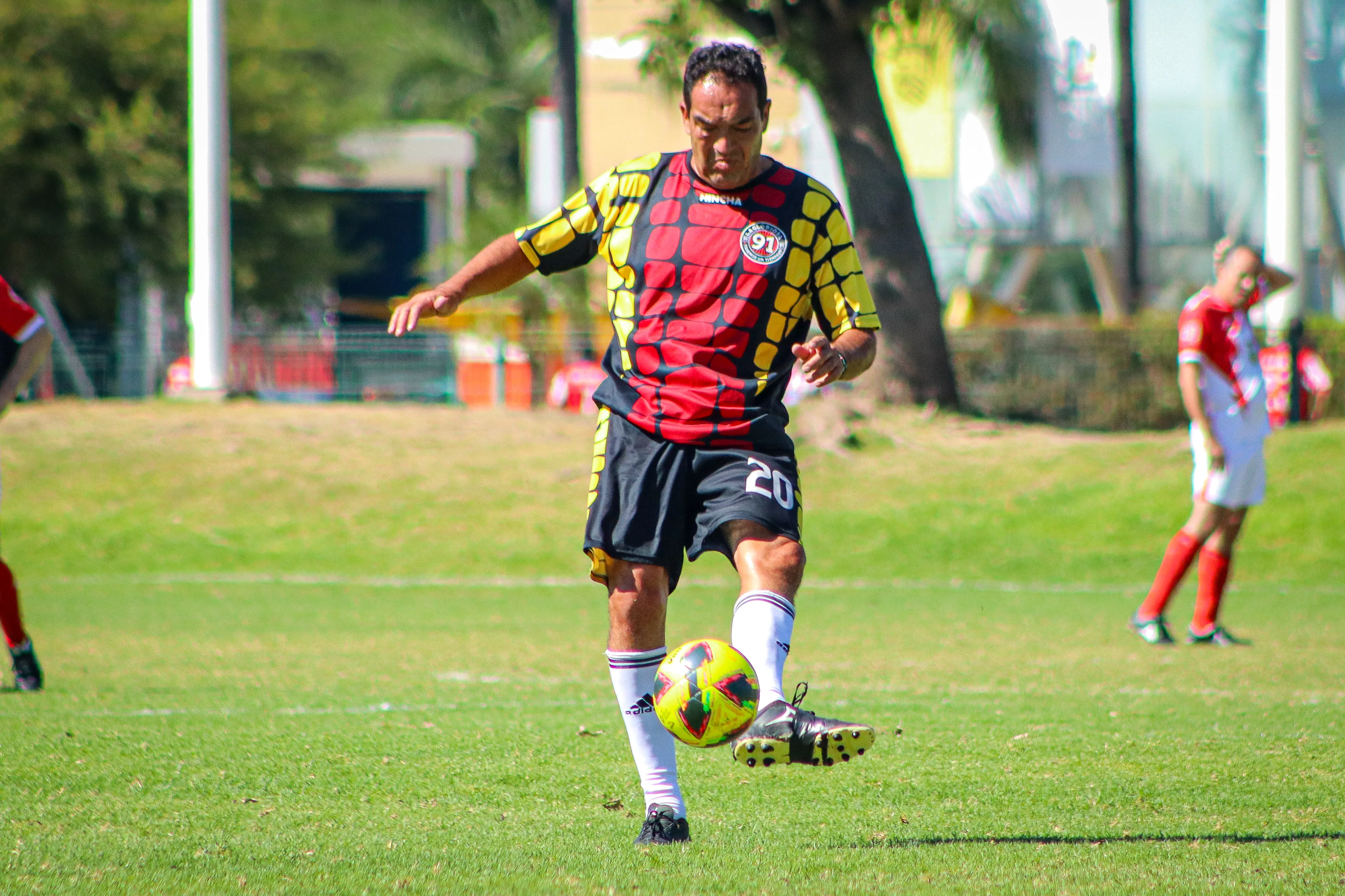 banner-partido