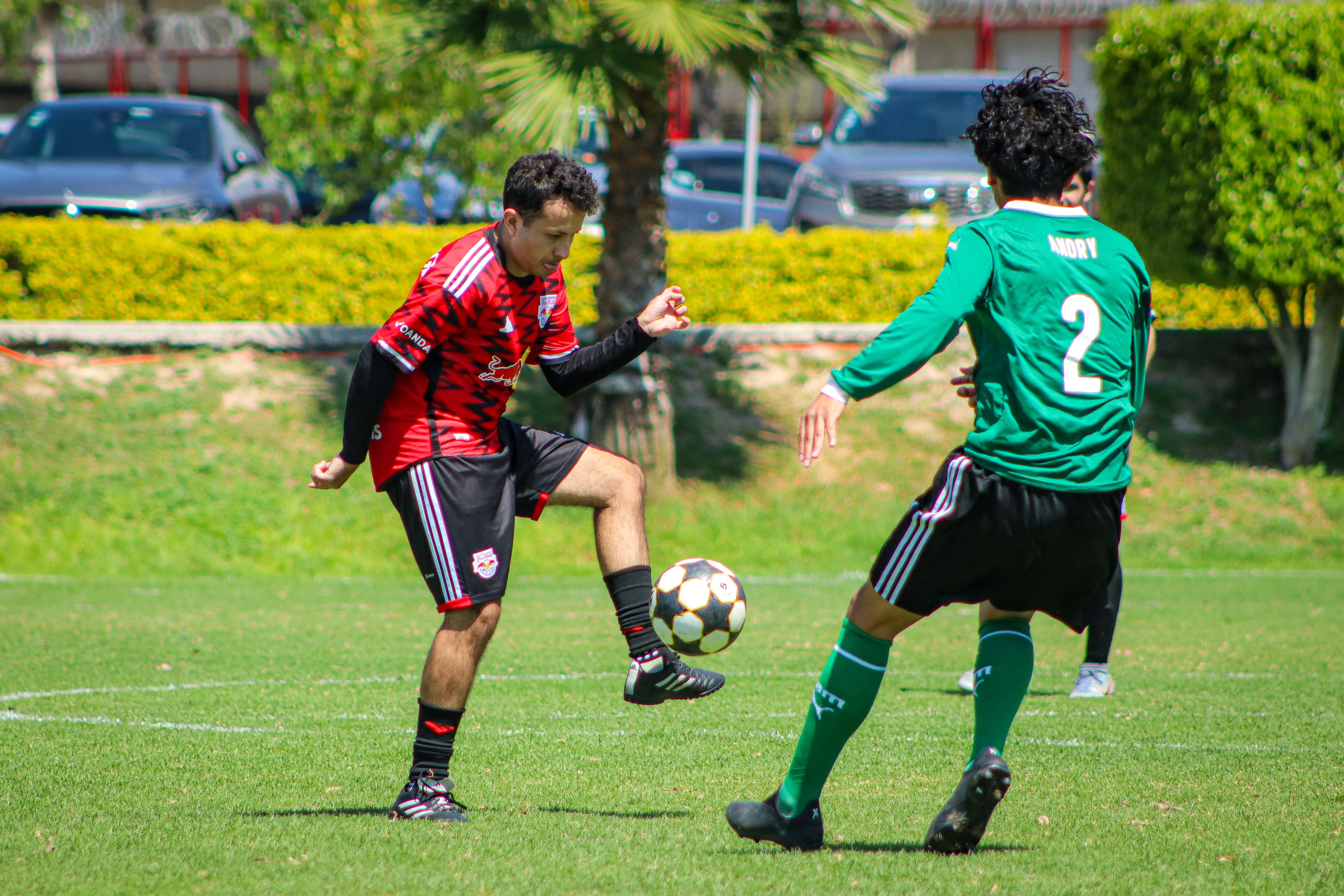 banner-partido
