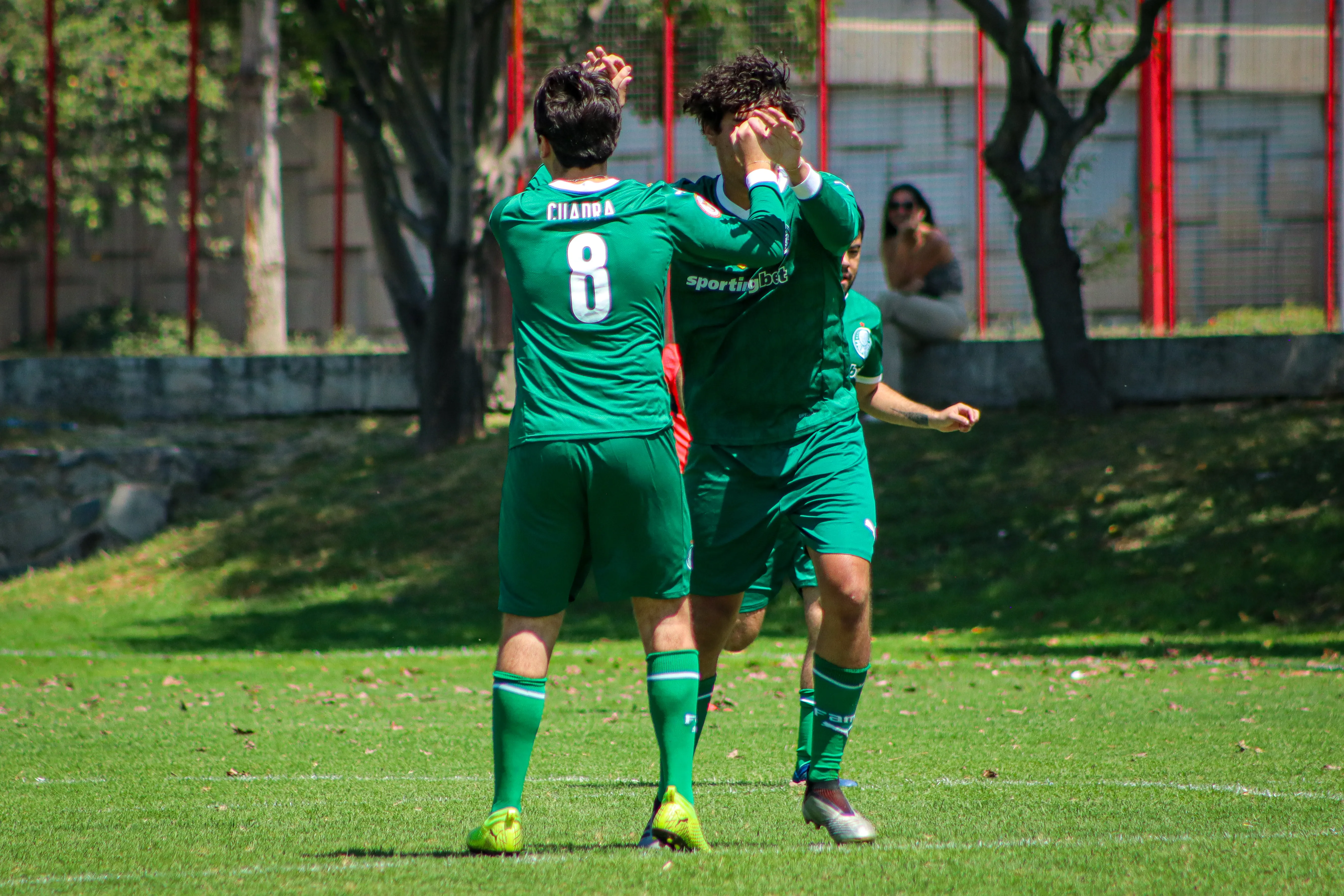 banner-partido