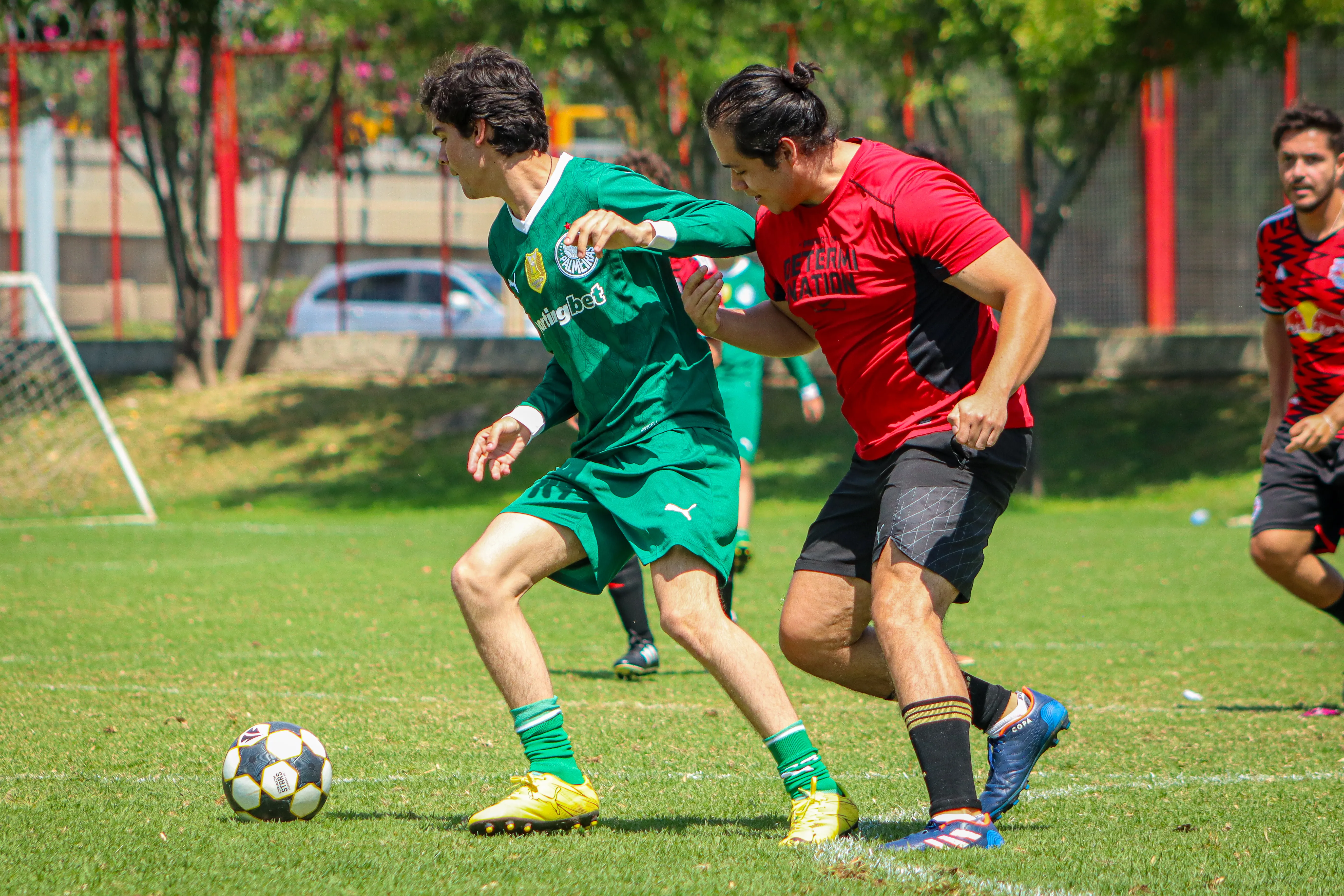 banner-partido