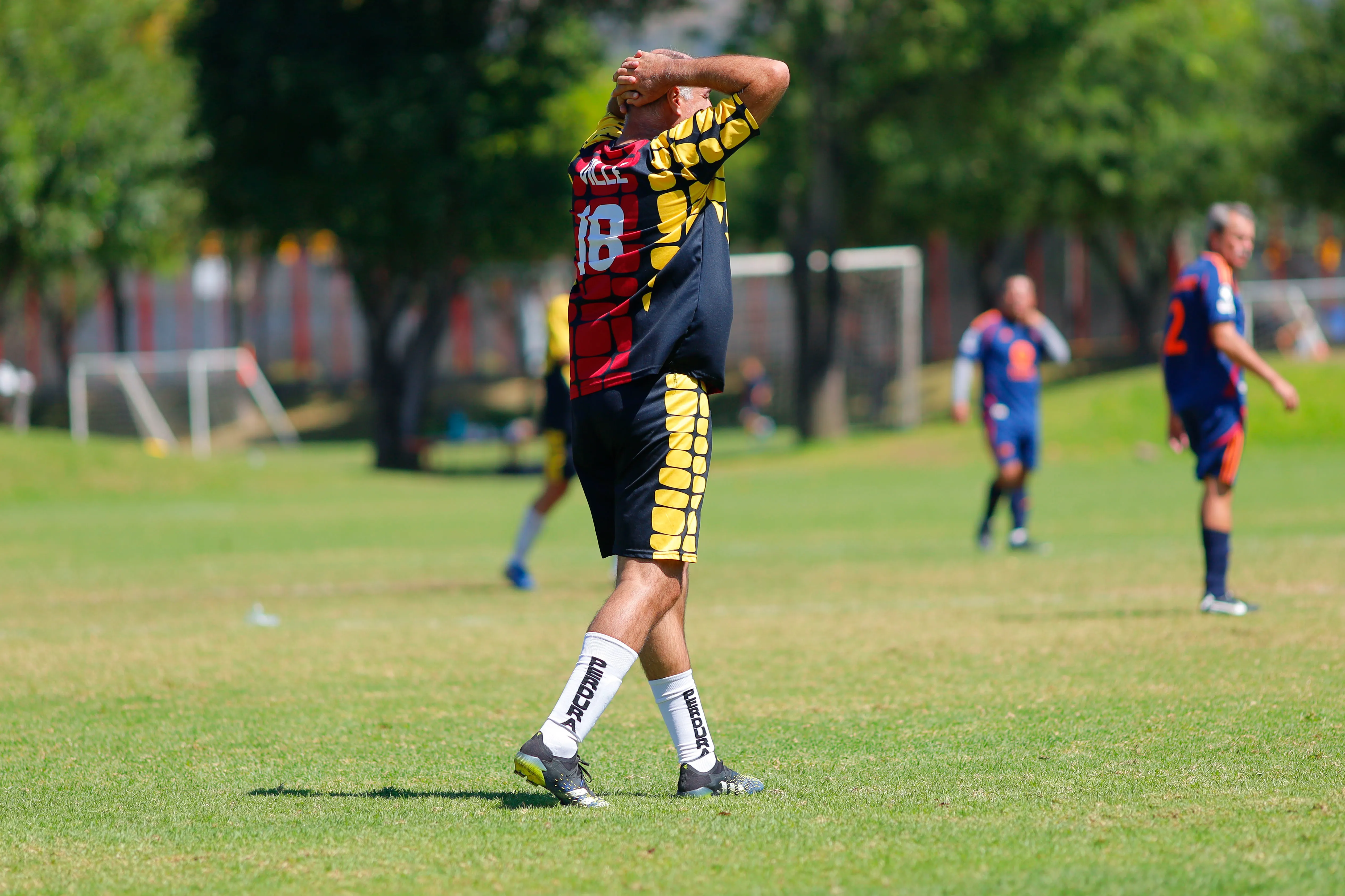 banner-partido
