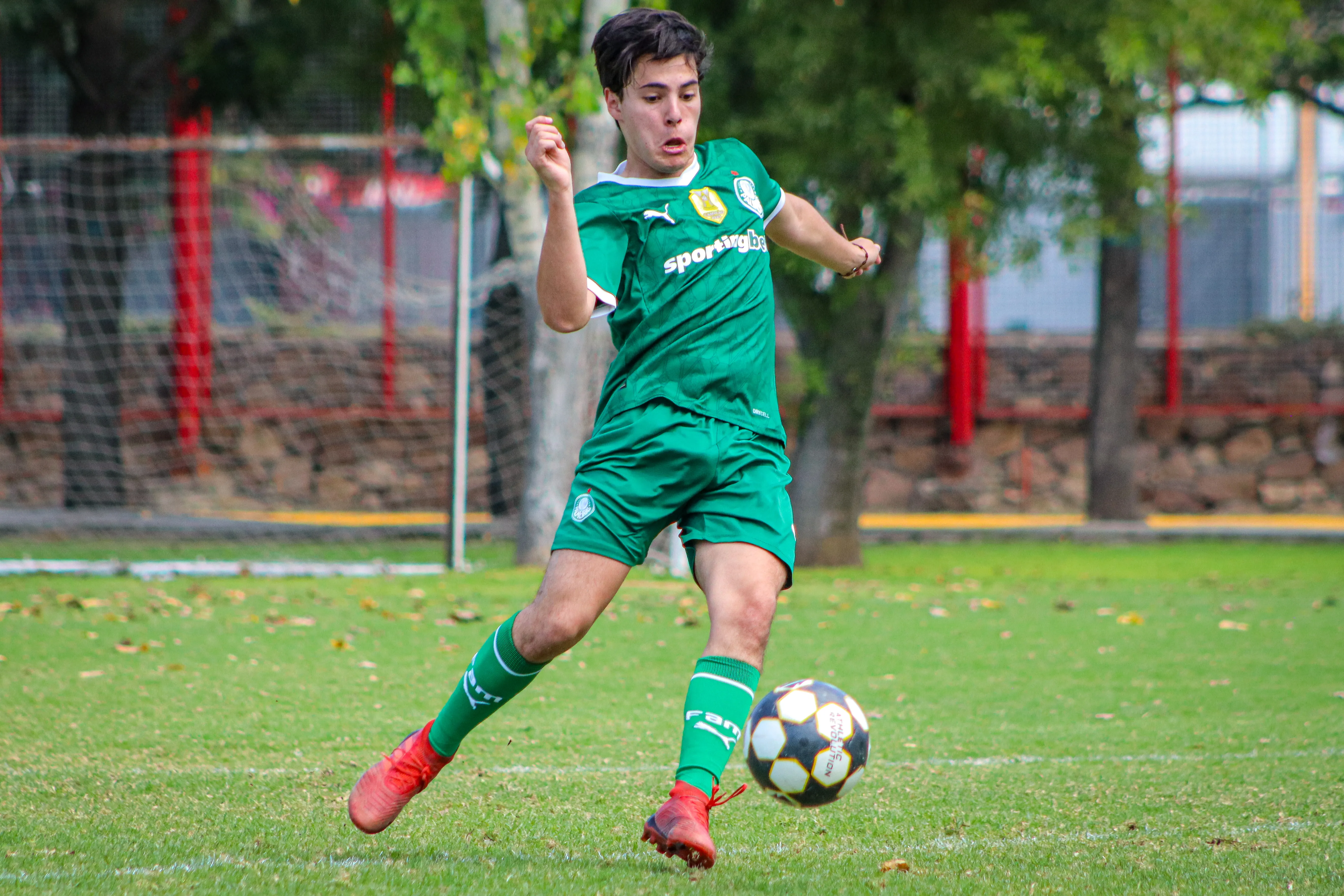 banner-partido