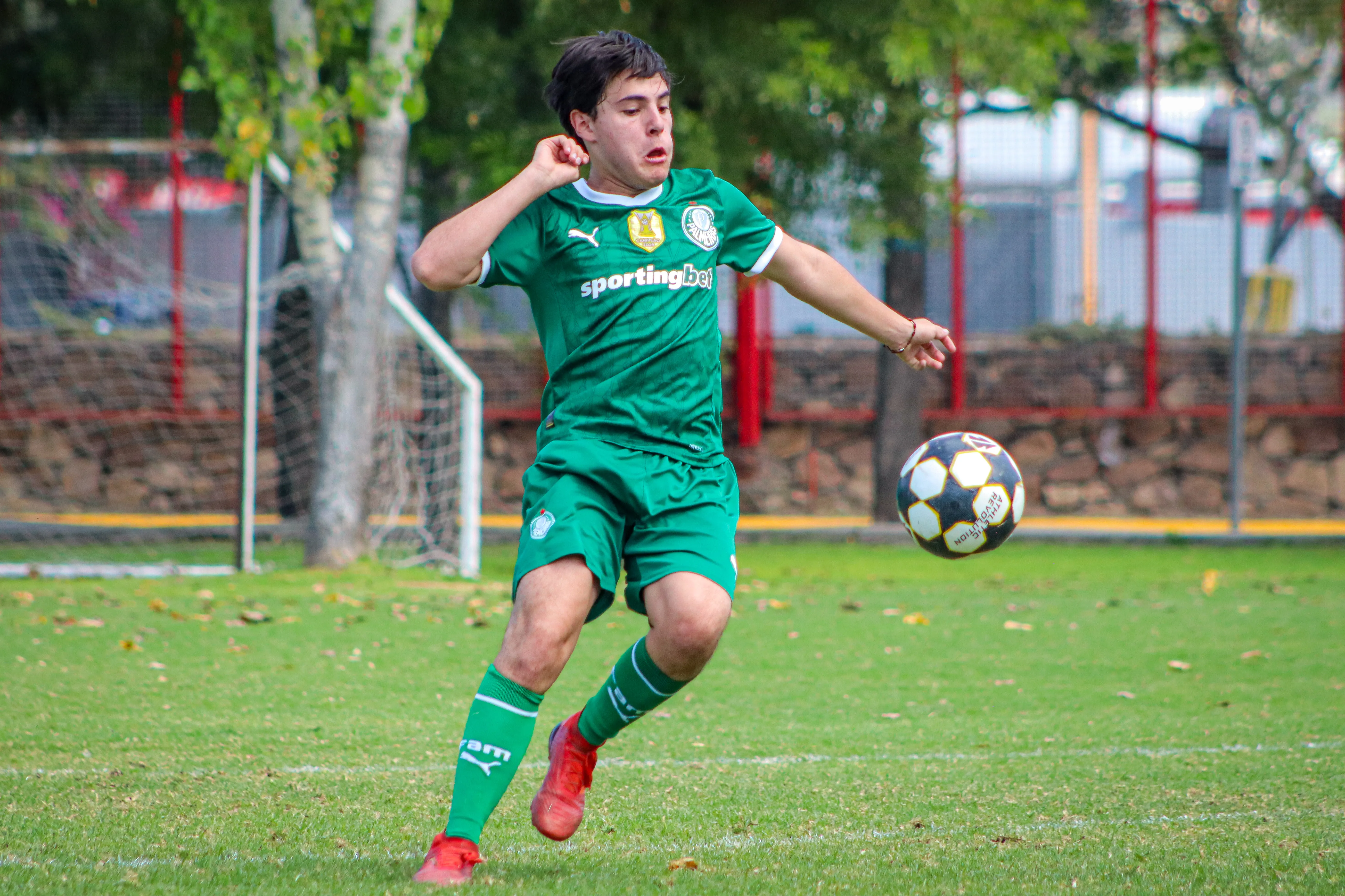 banner-partido