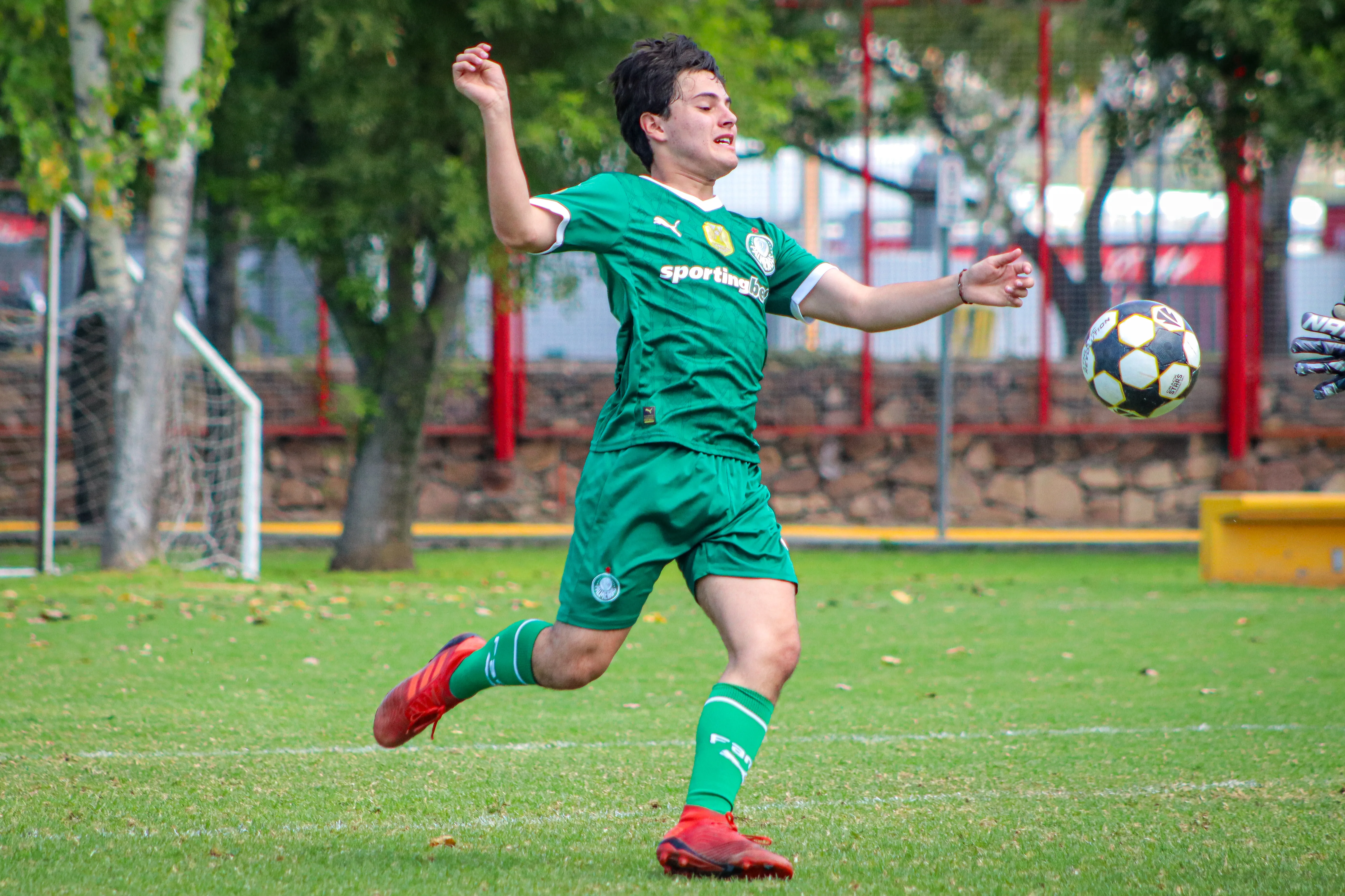 banner-partido