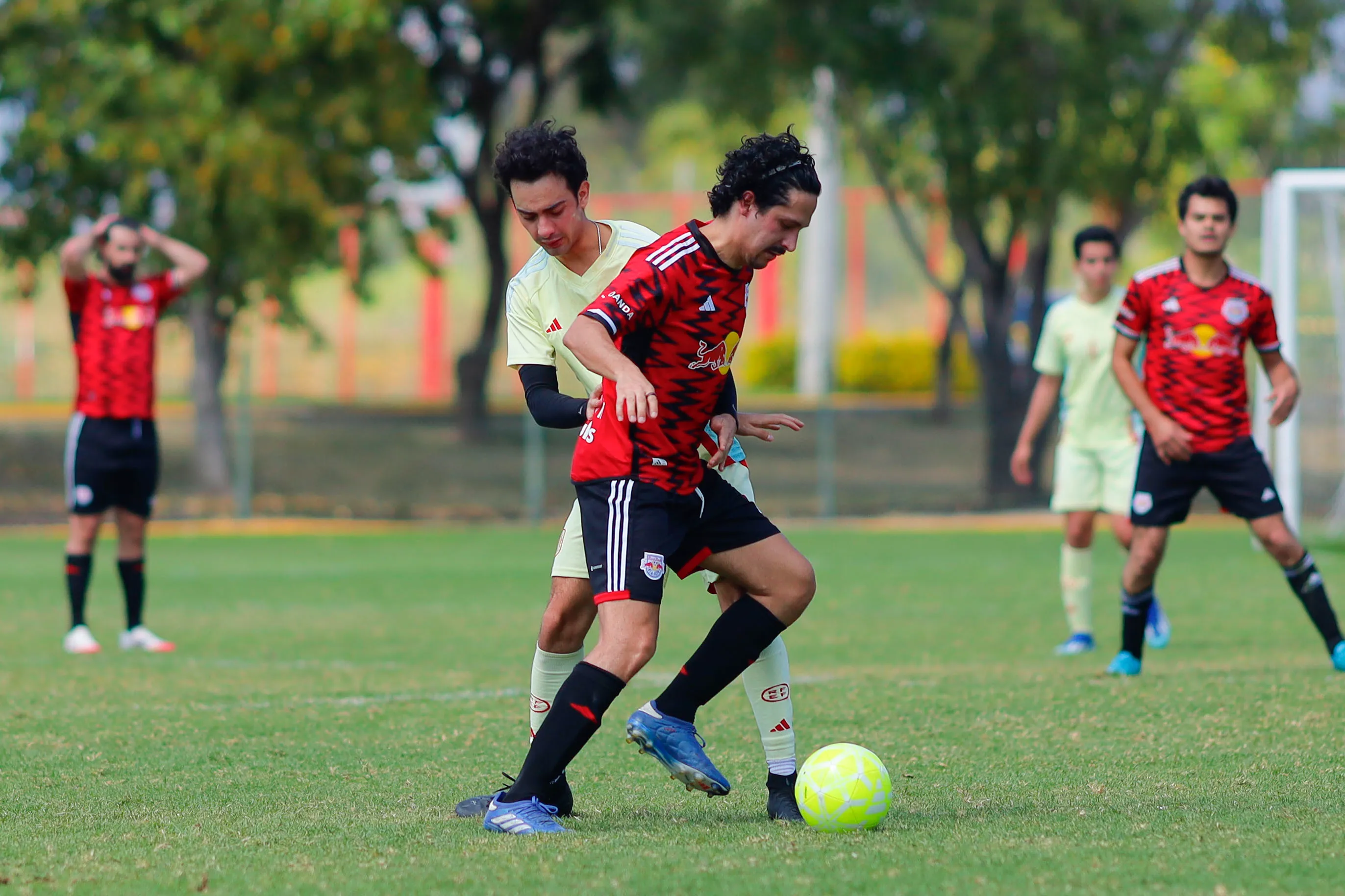 banner-partido