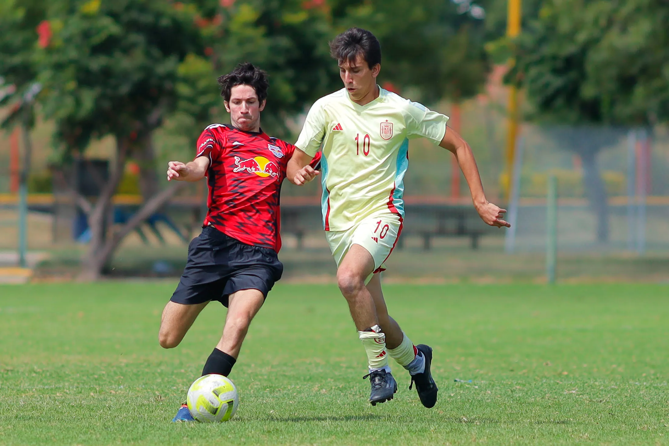 banner-partido