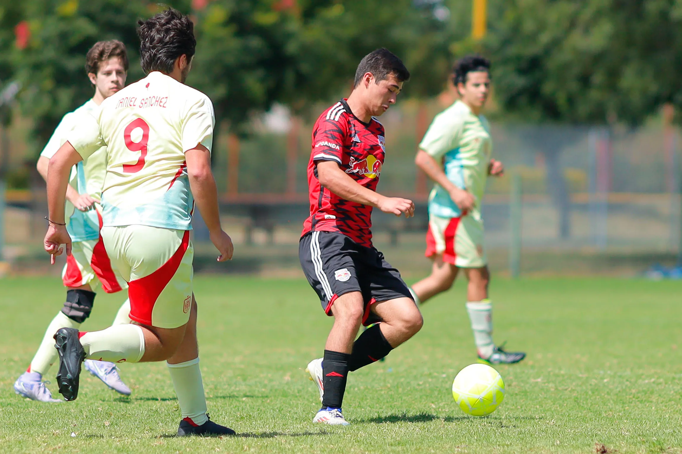 banner-partido