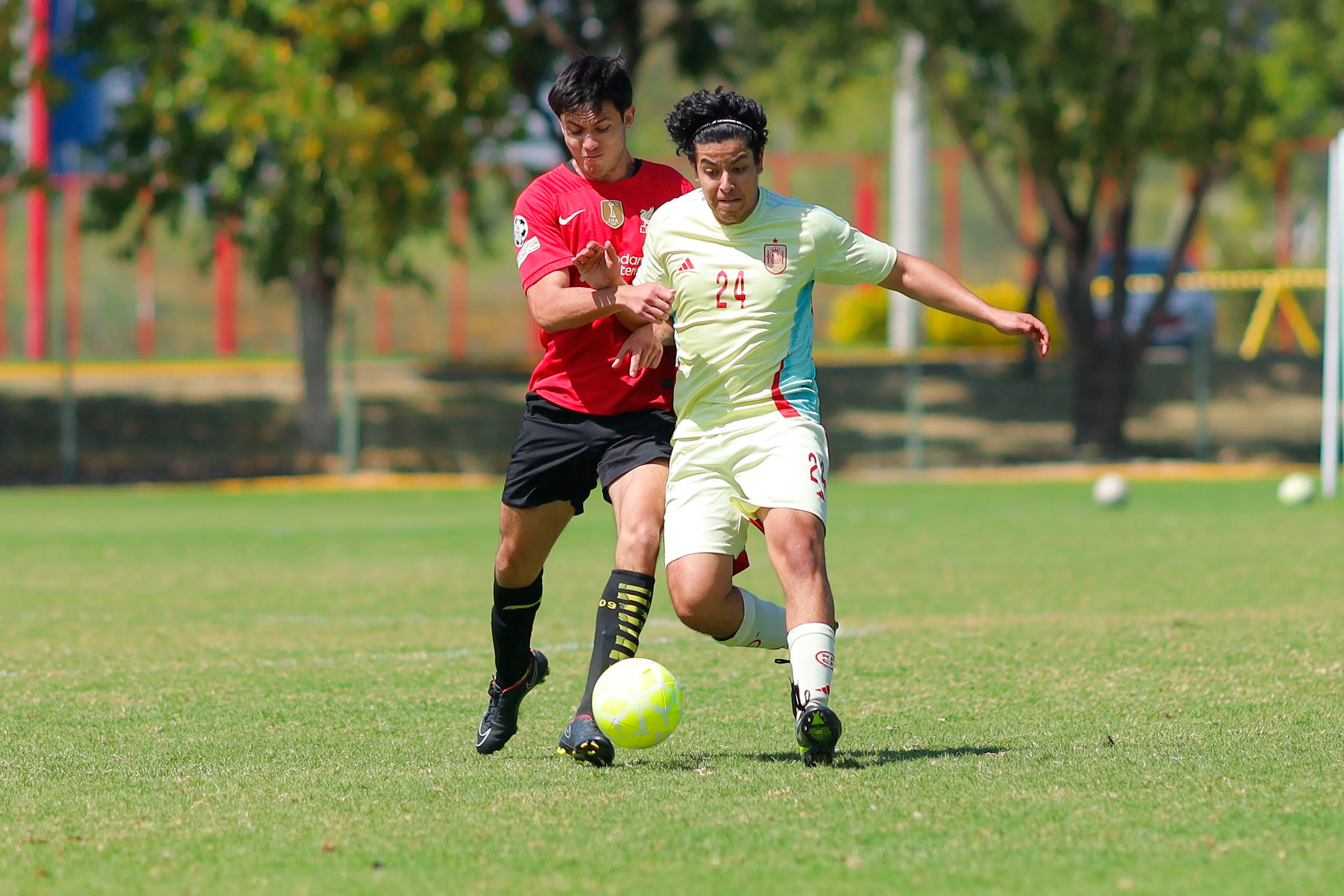 banner-partido