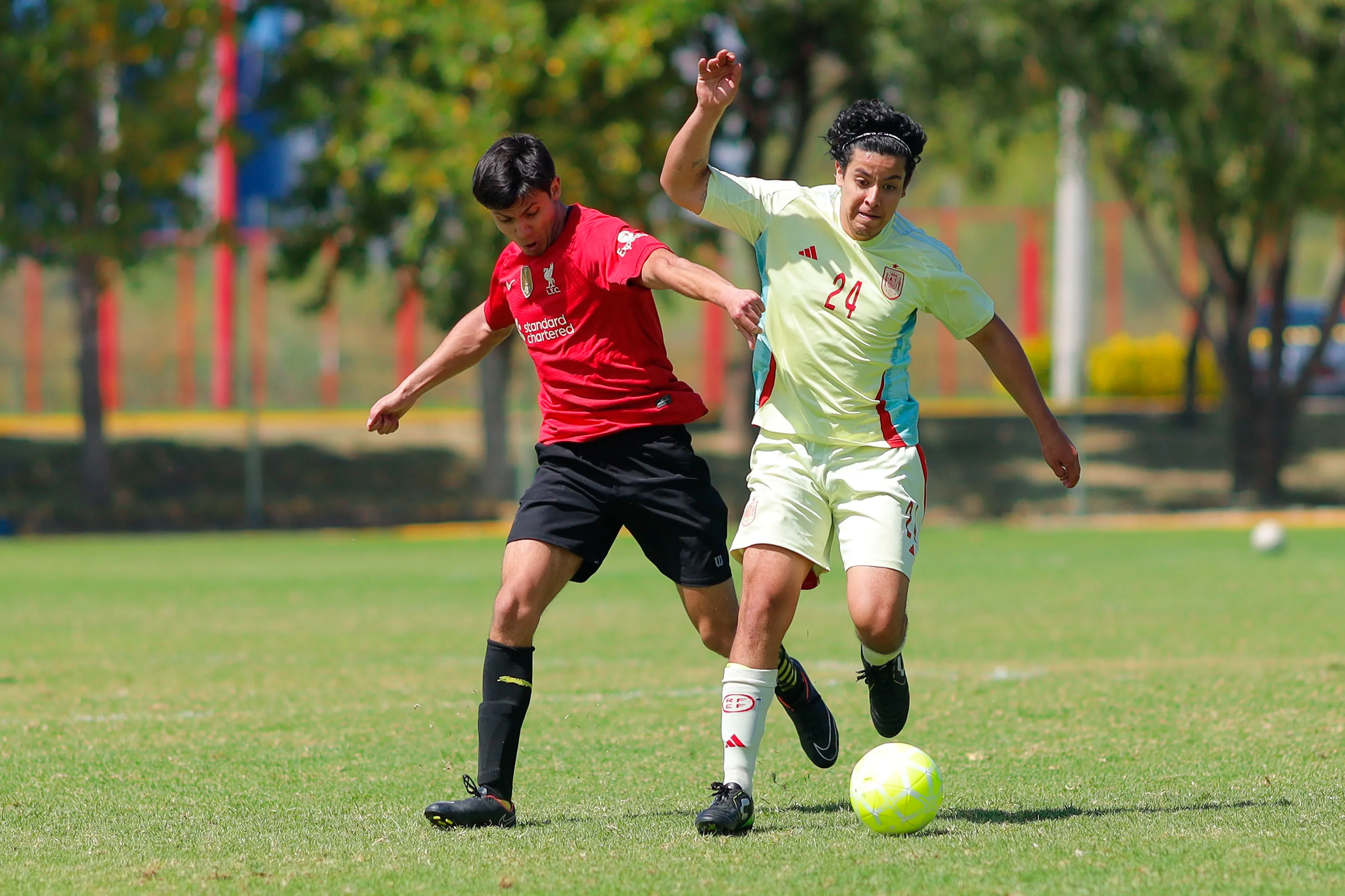 banner-partido
