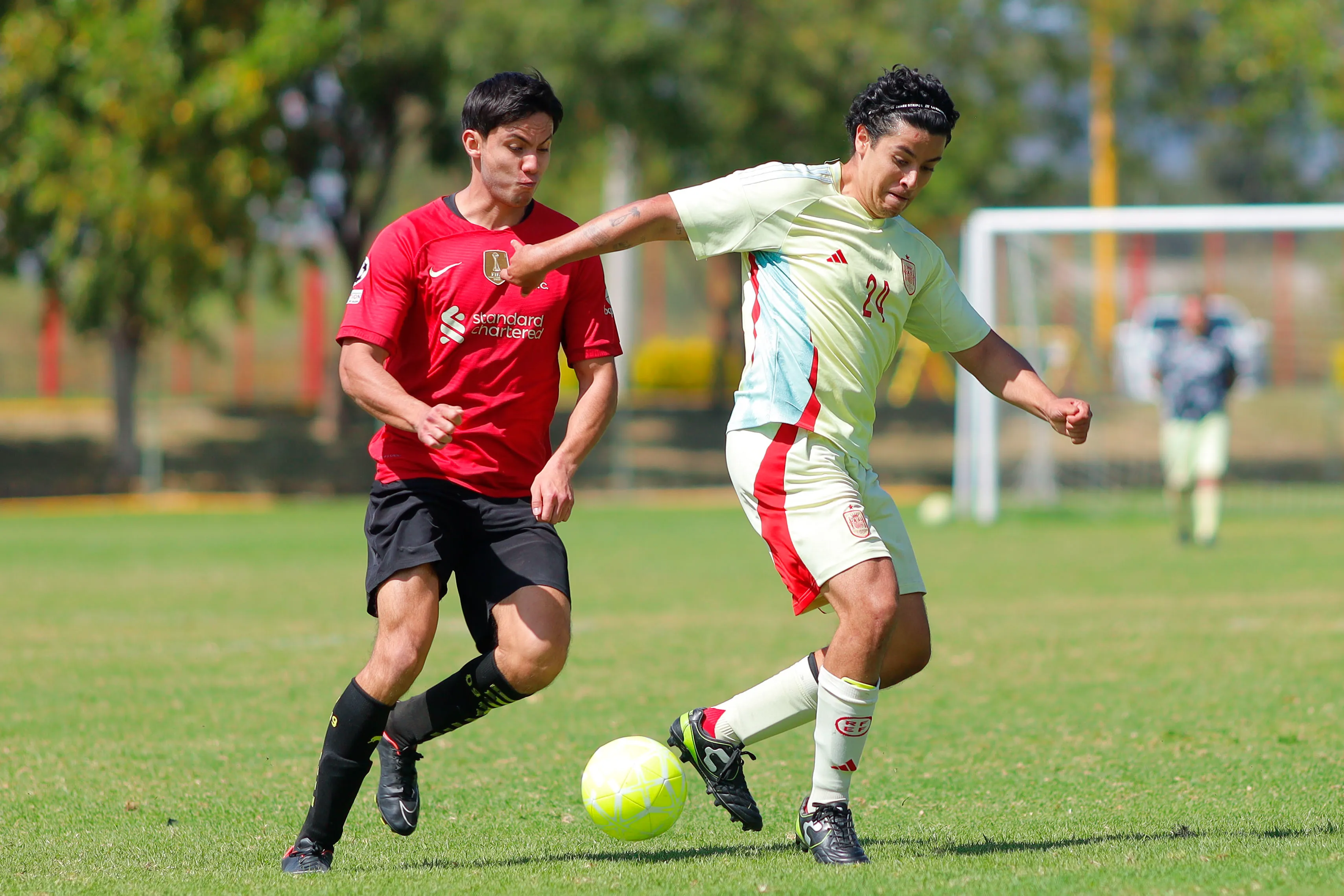 banner-partido
