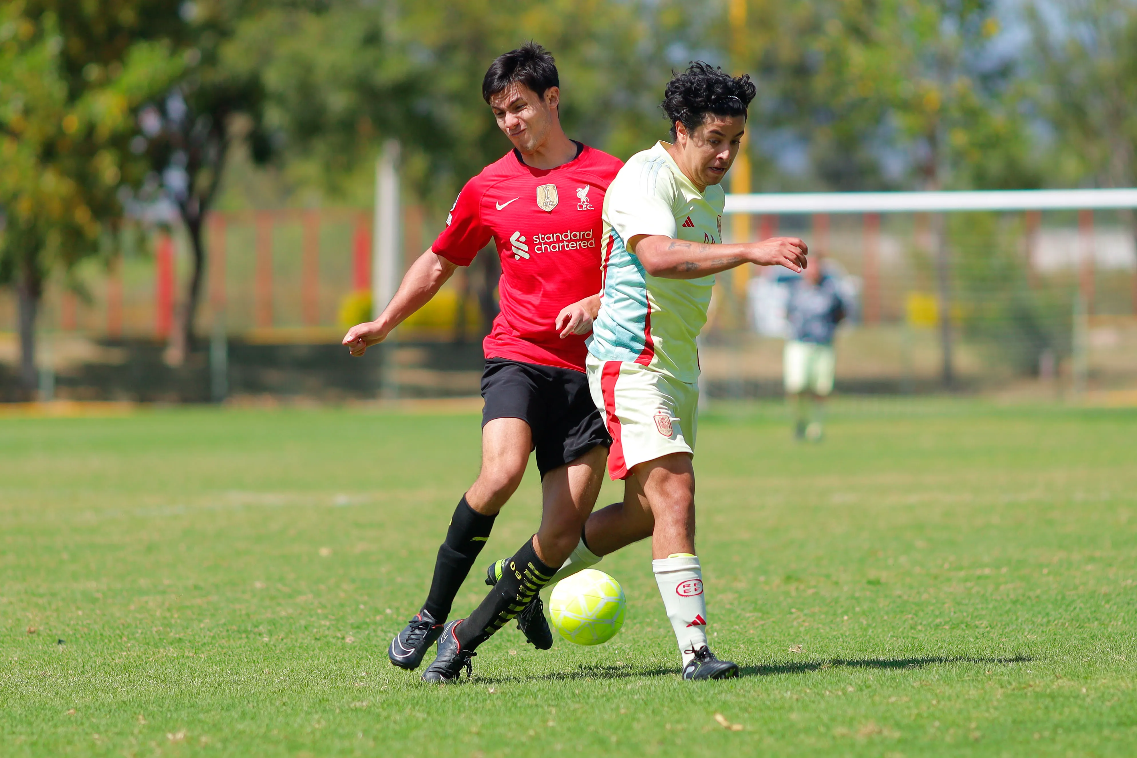 banner-partido