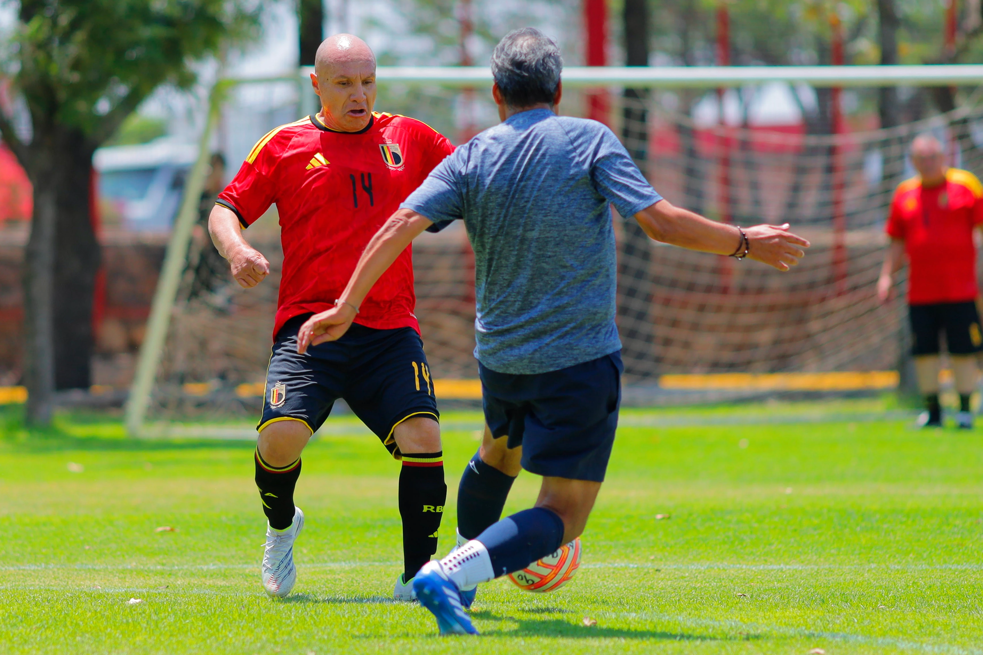 banner-partido