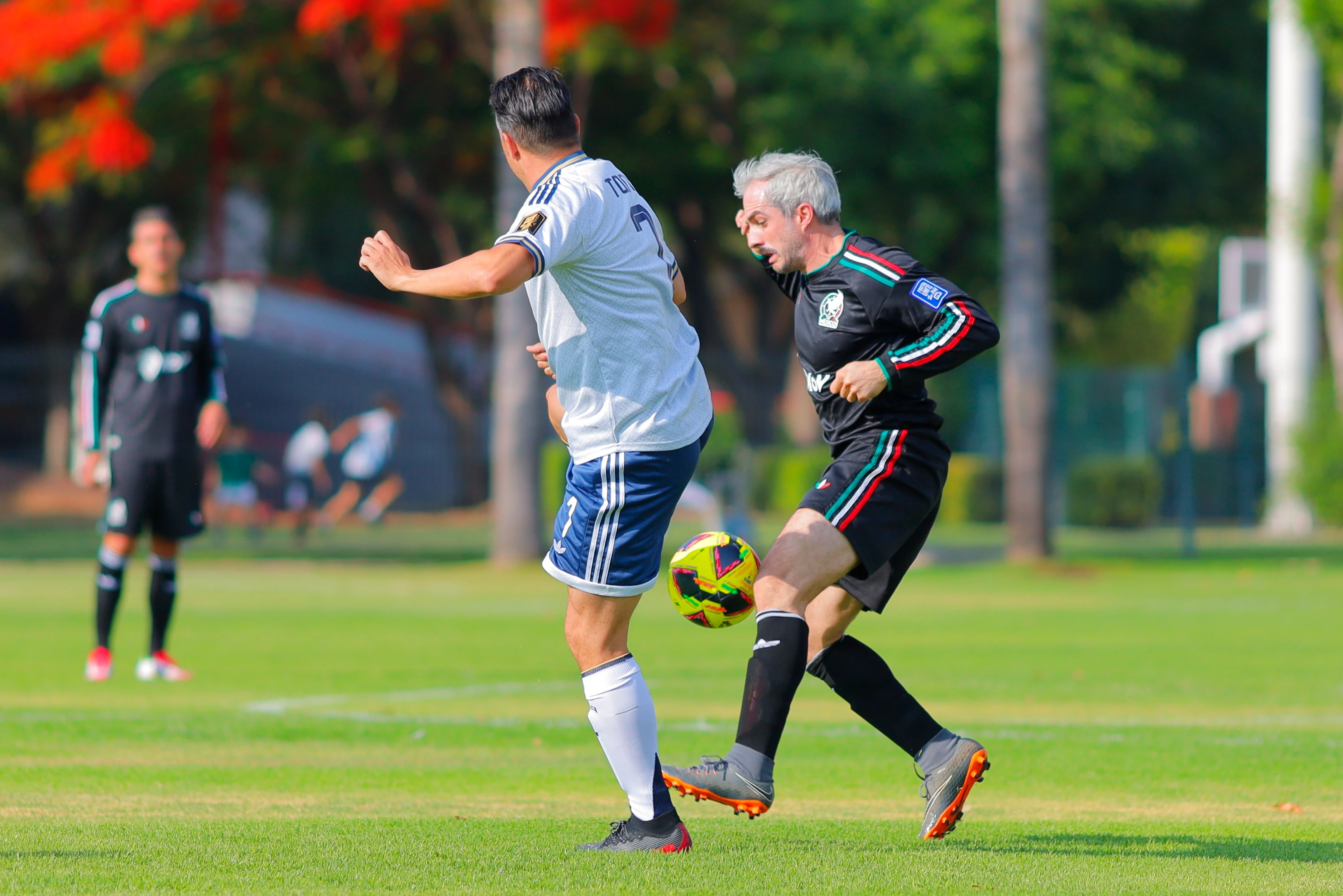 banner-partido