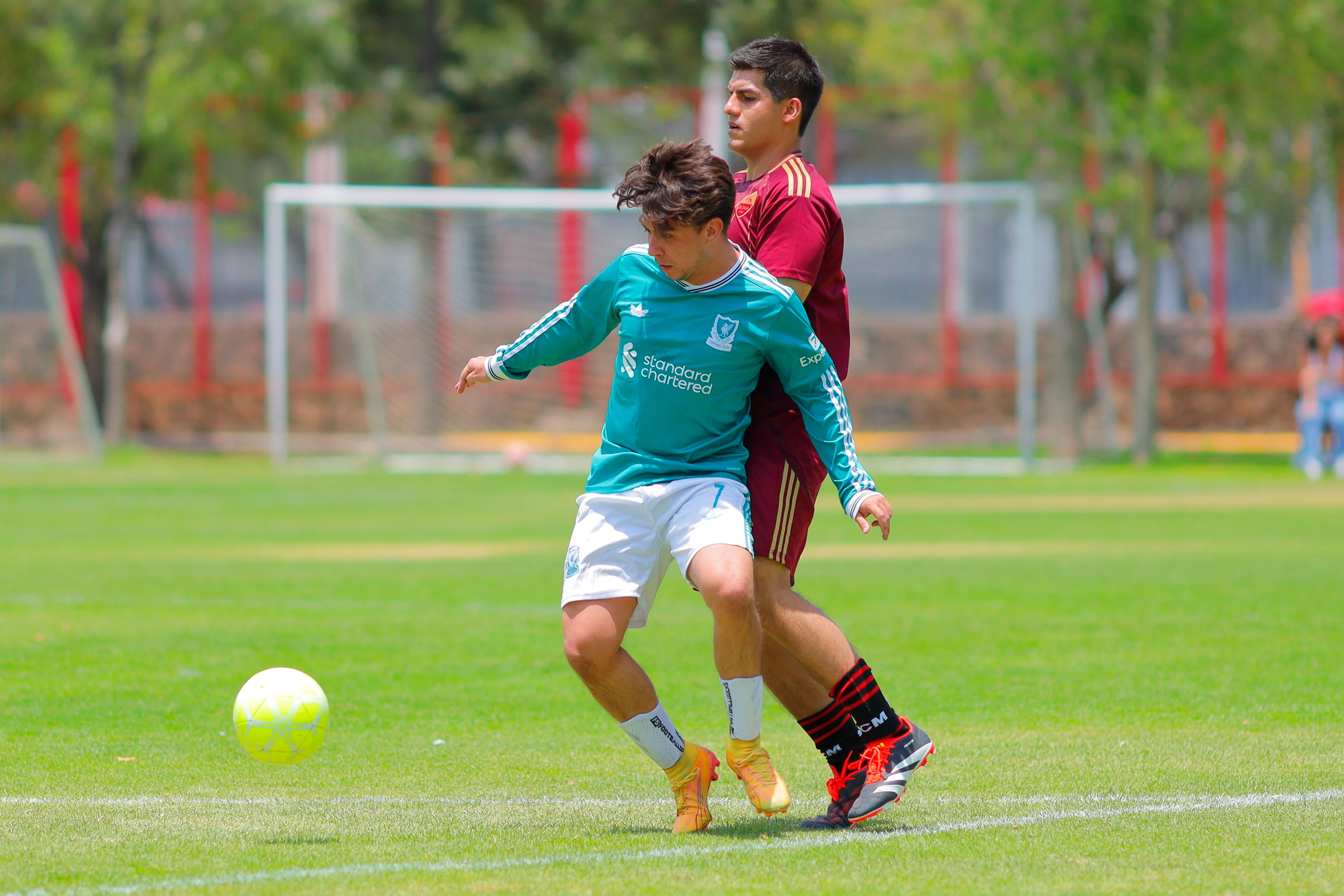 banner-partido