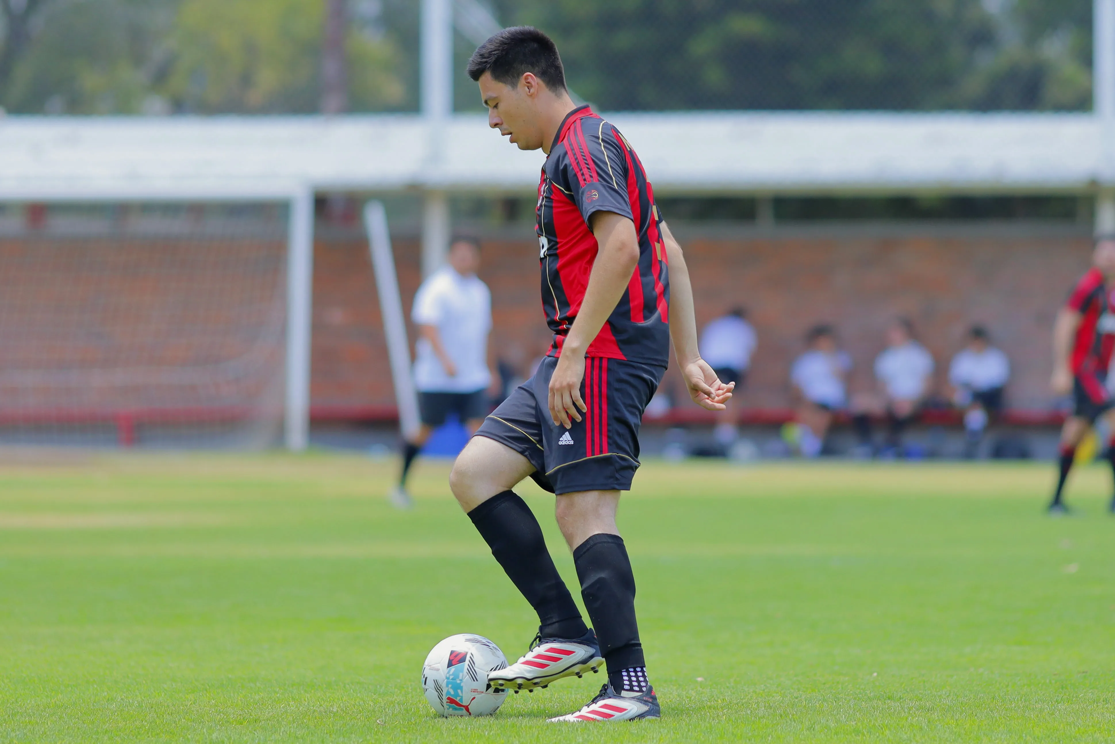 banner-partido