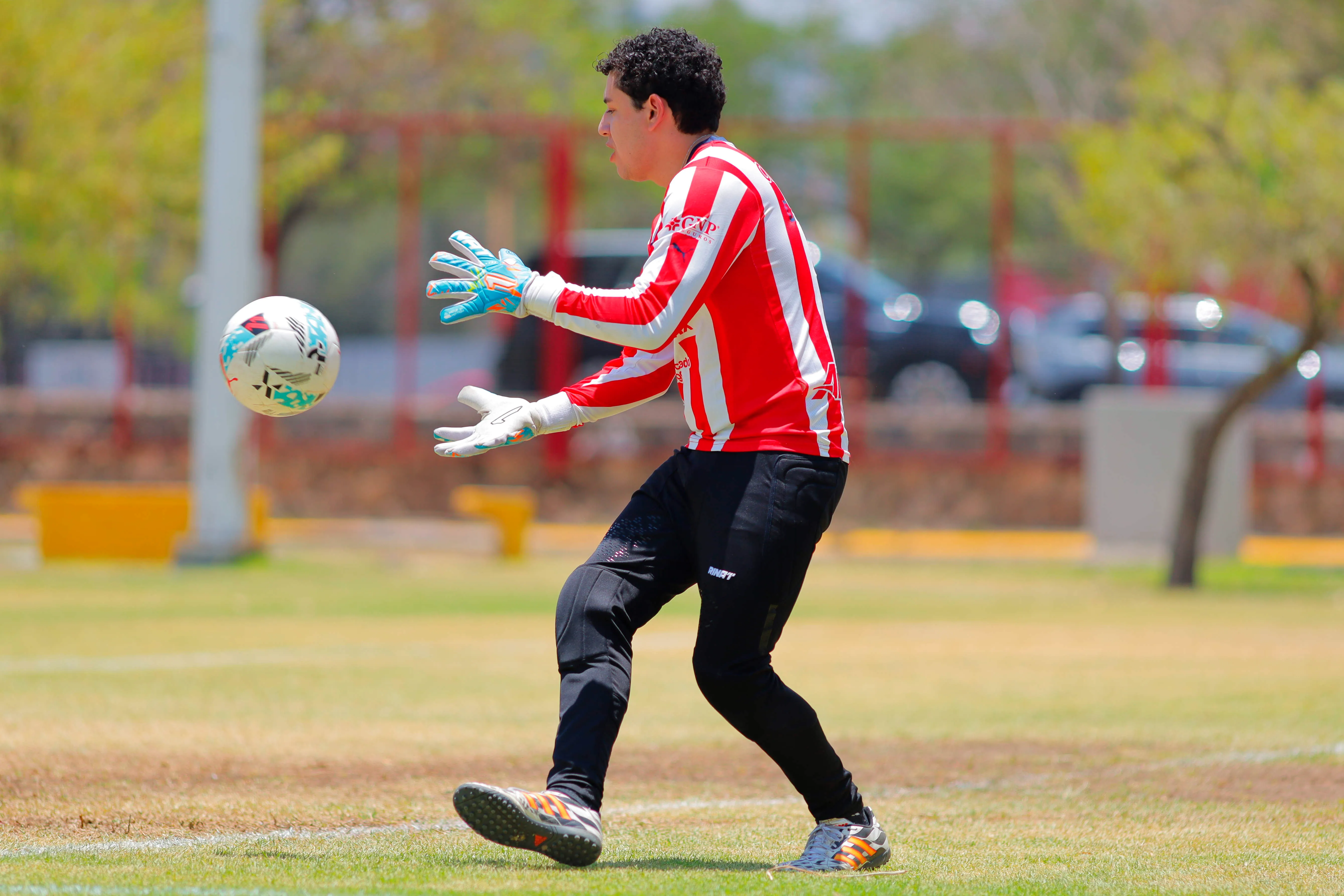 banner-partido
