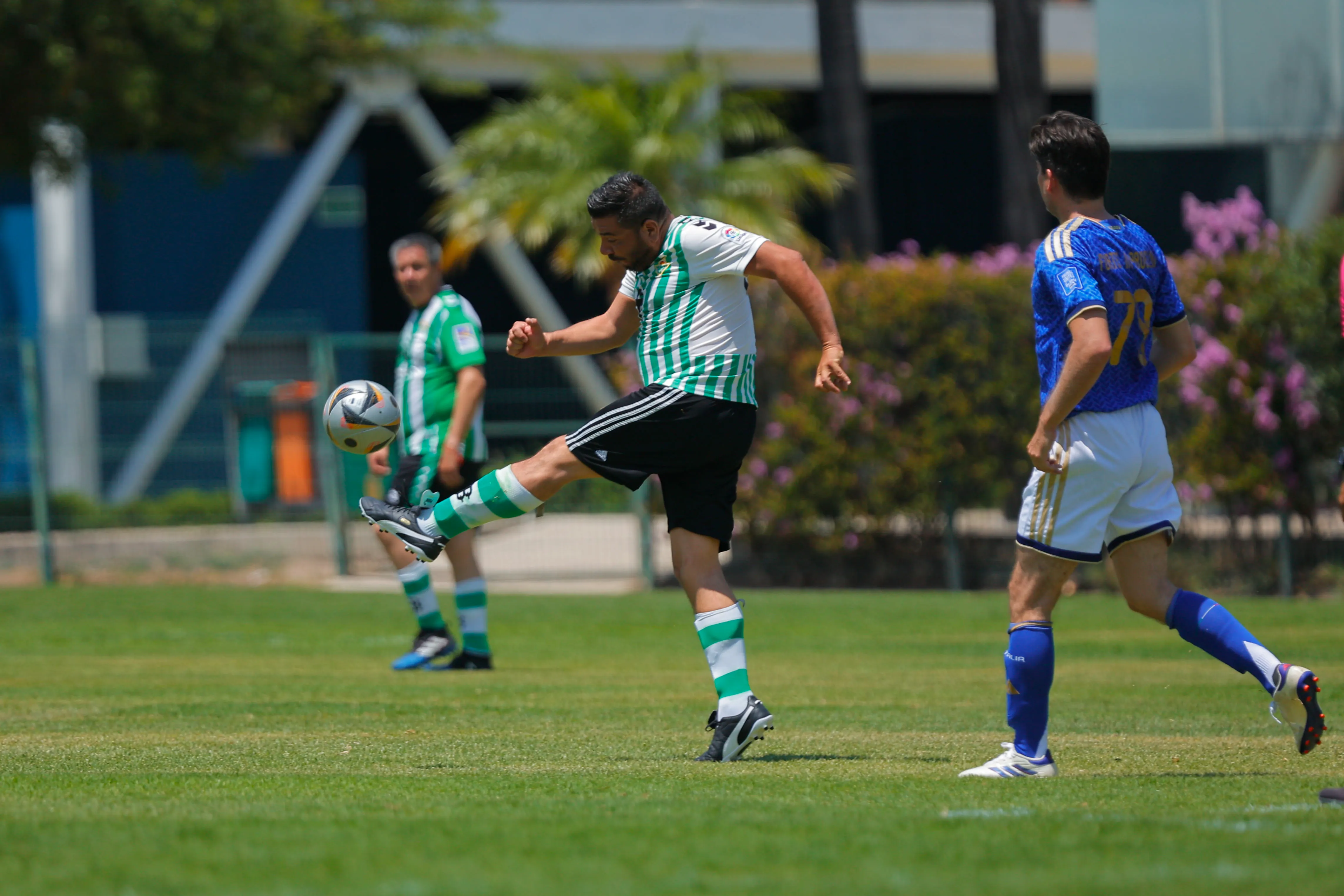banner-partido