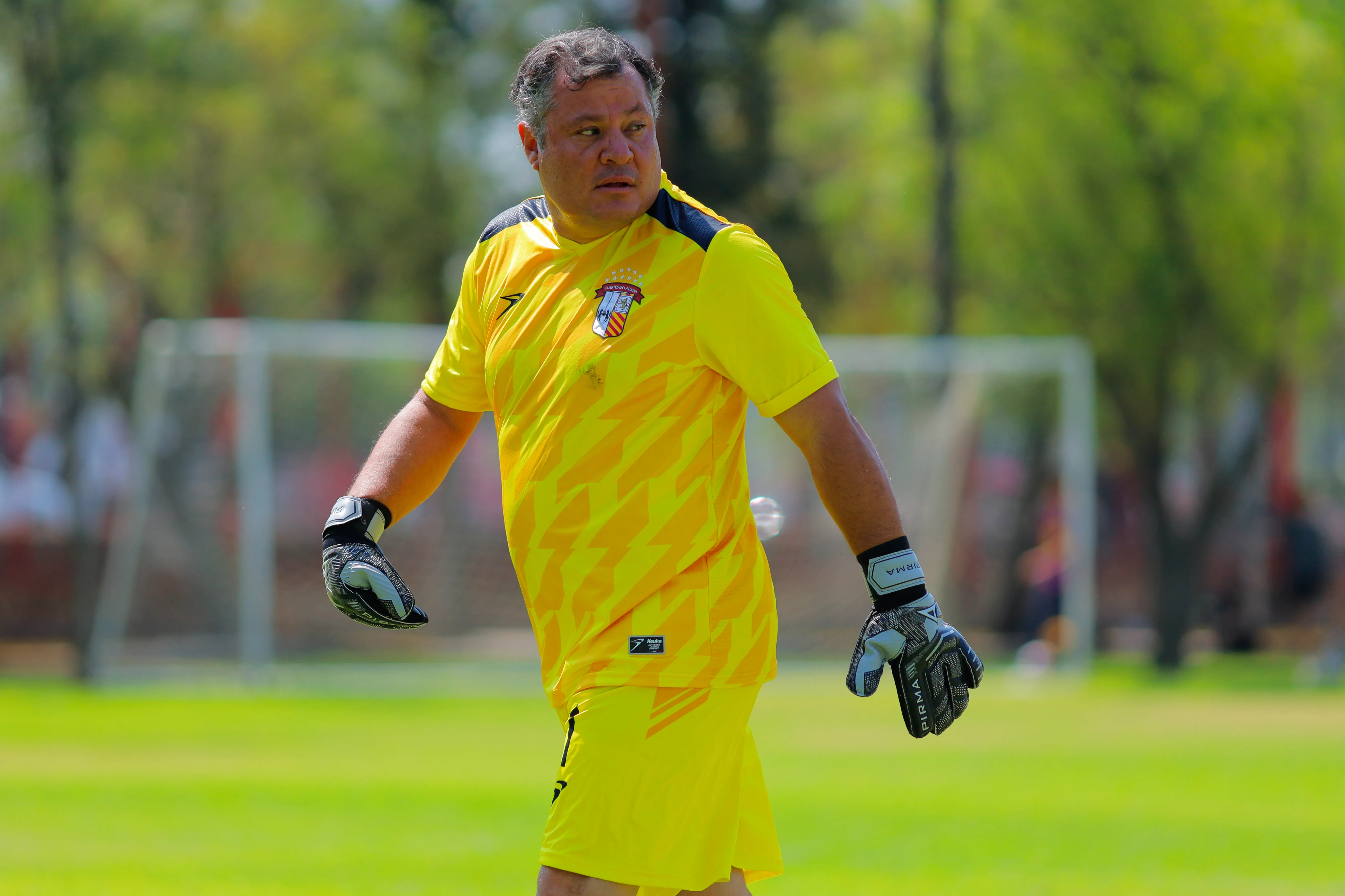banner-partido