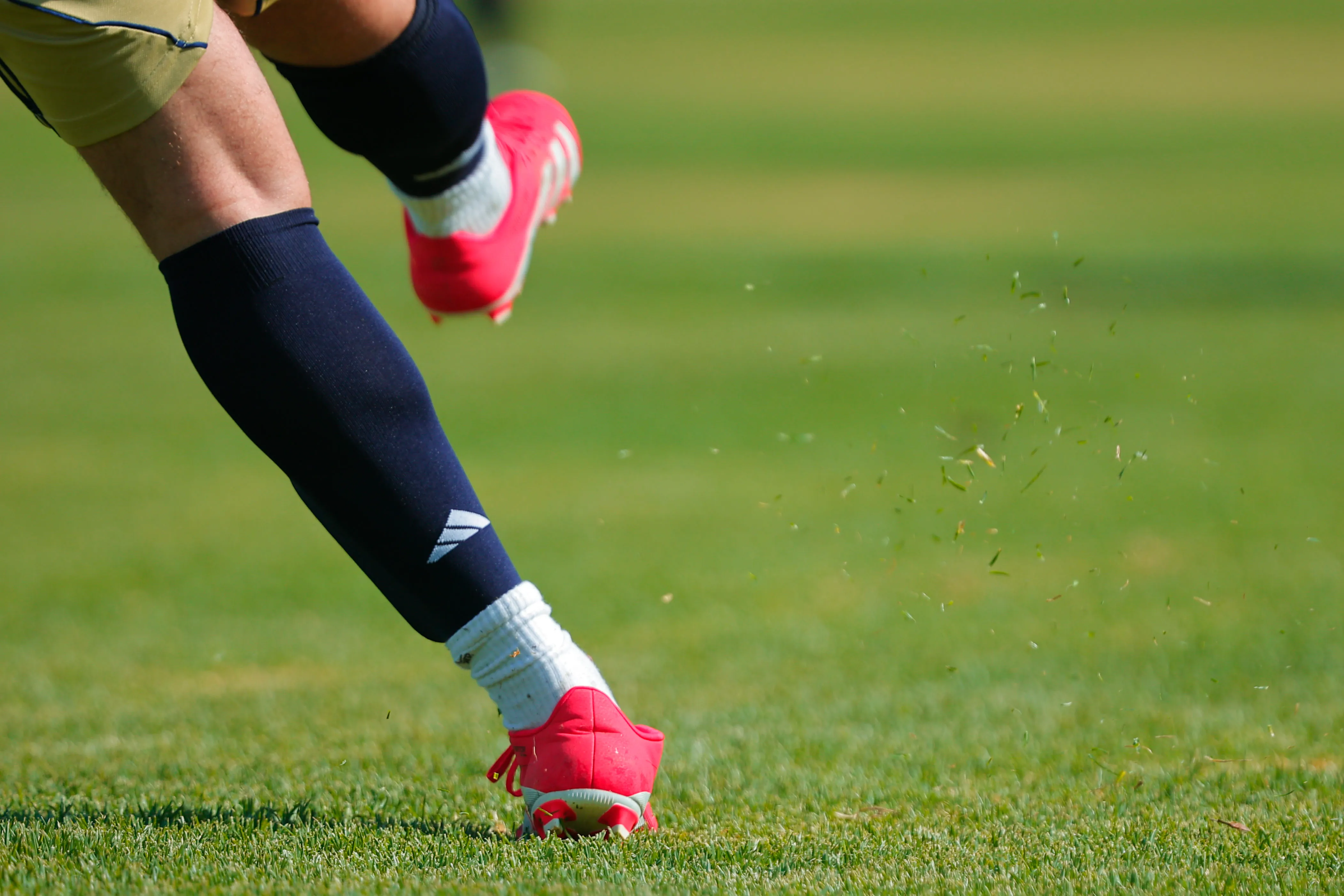 banner-partido