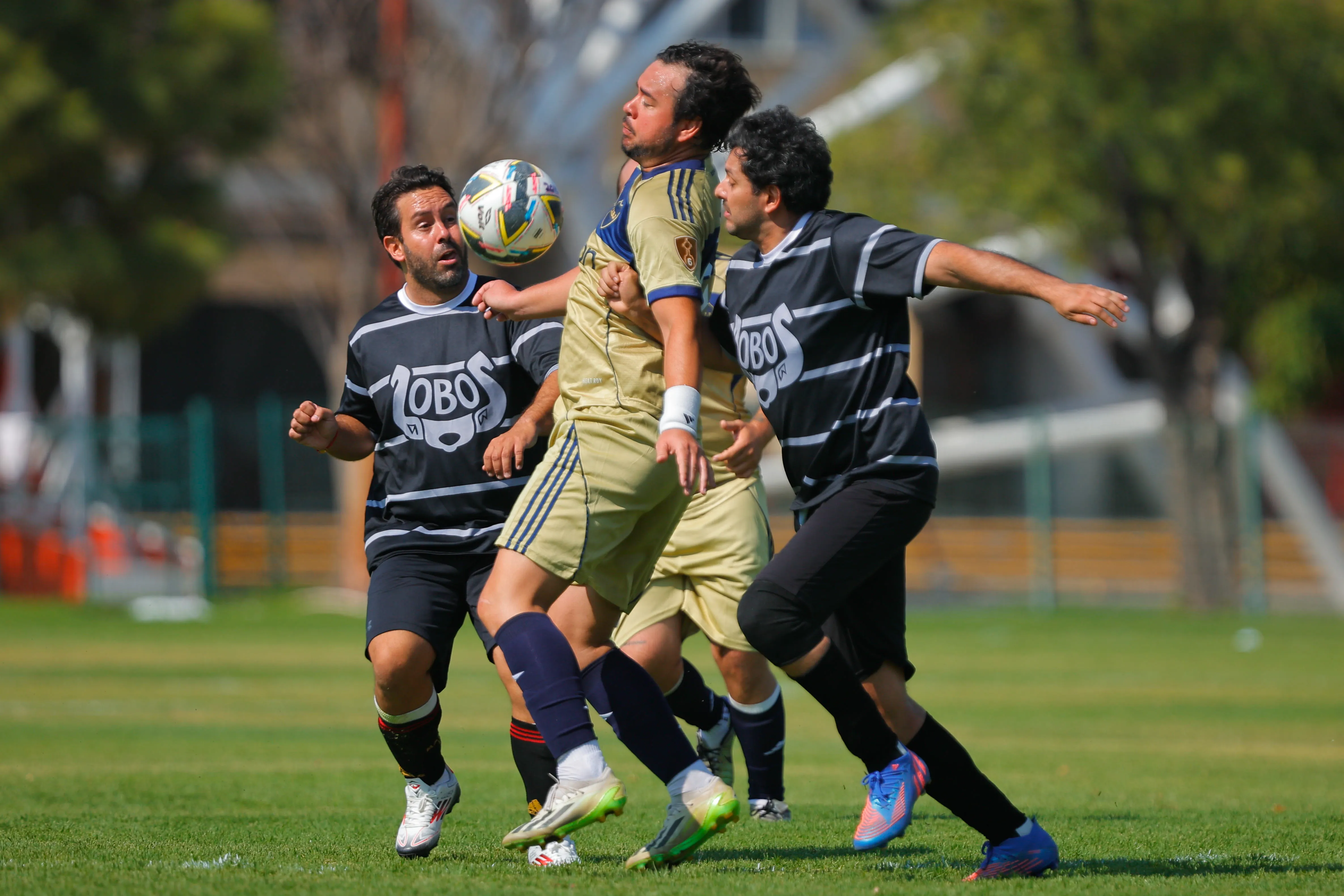 banner-partido