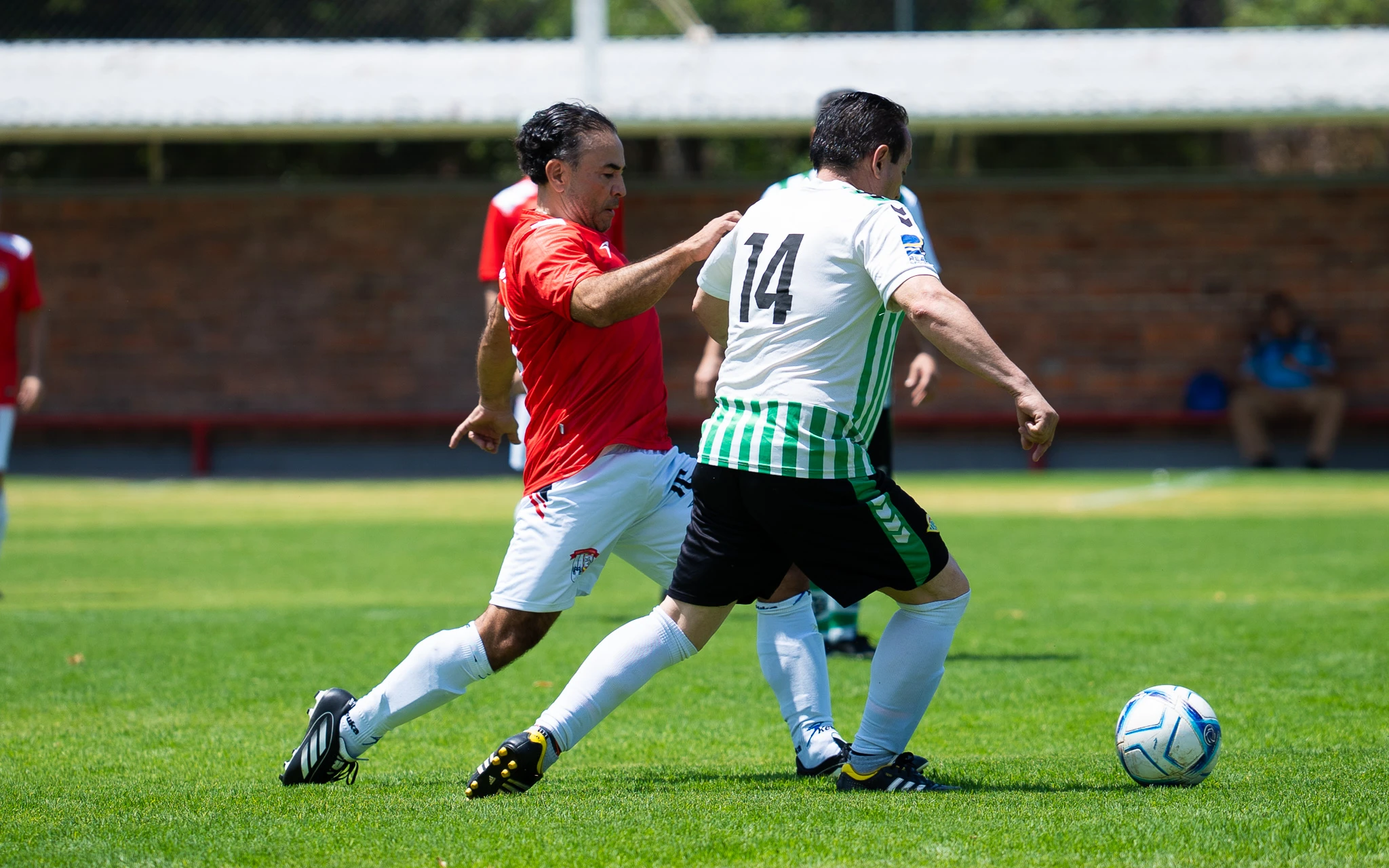 banner-partido