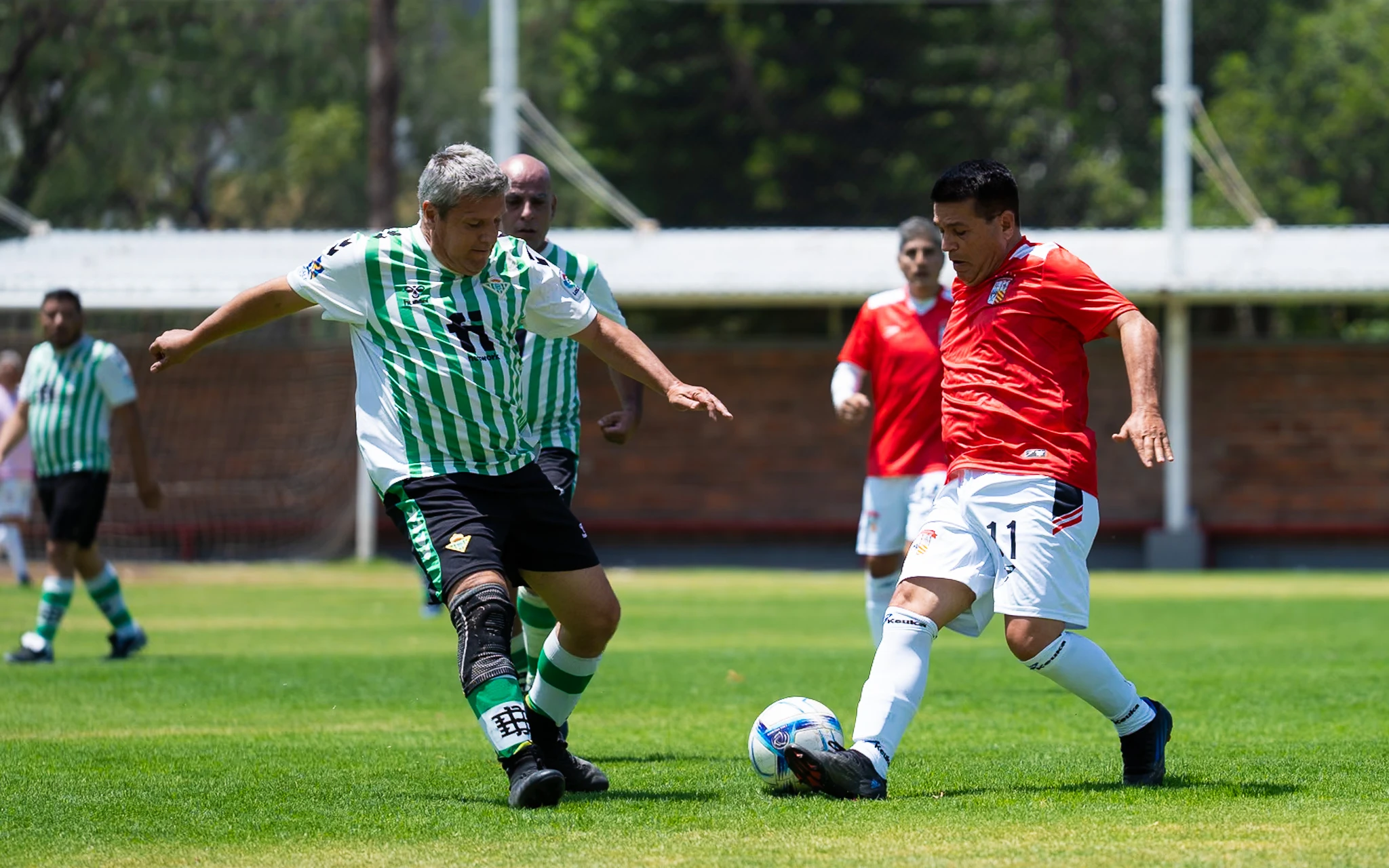 banner-partido