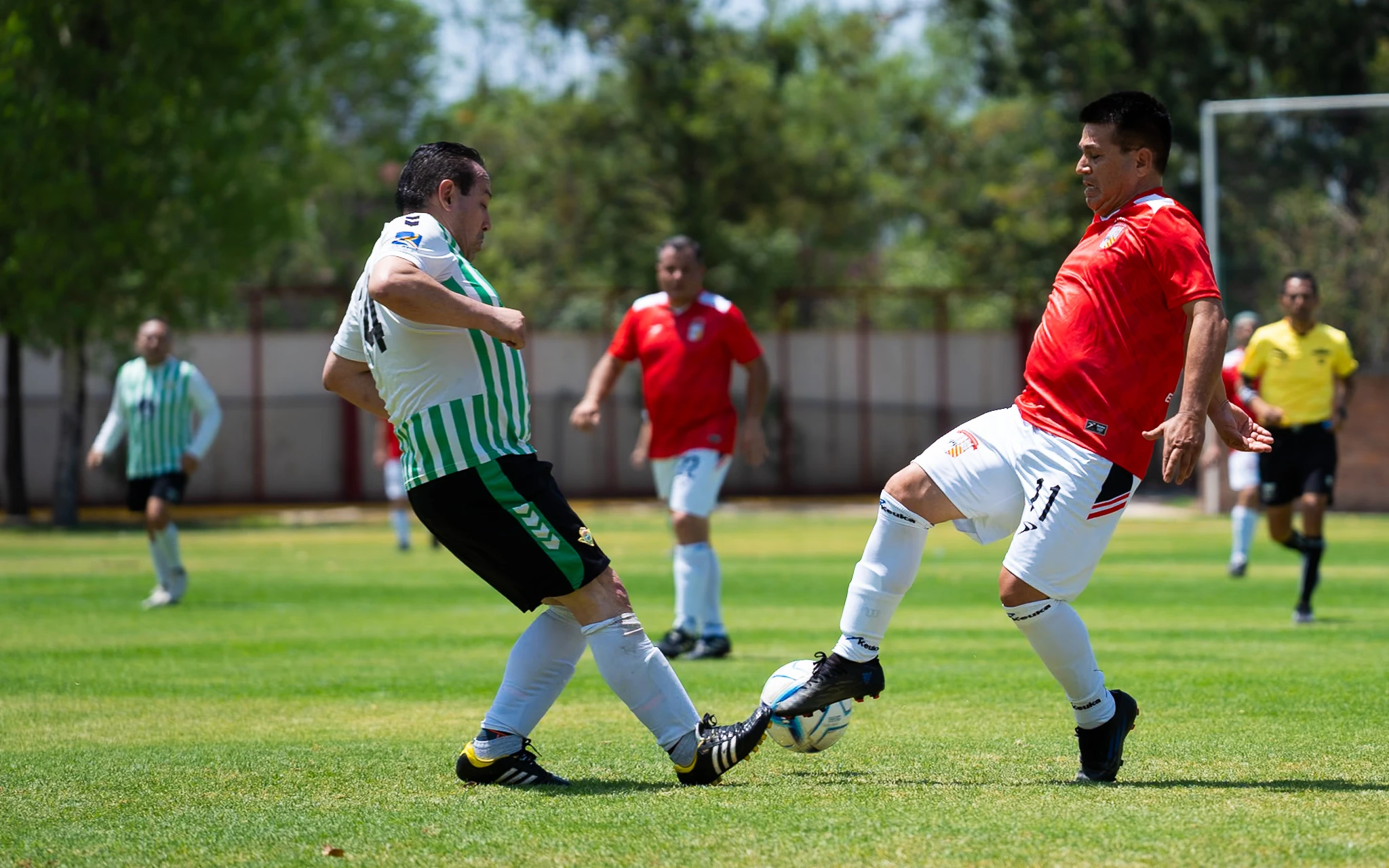 banner-partido