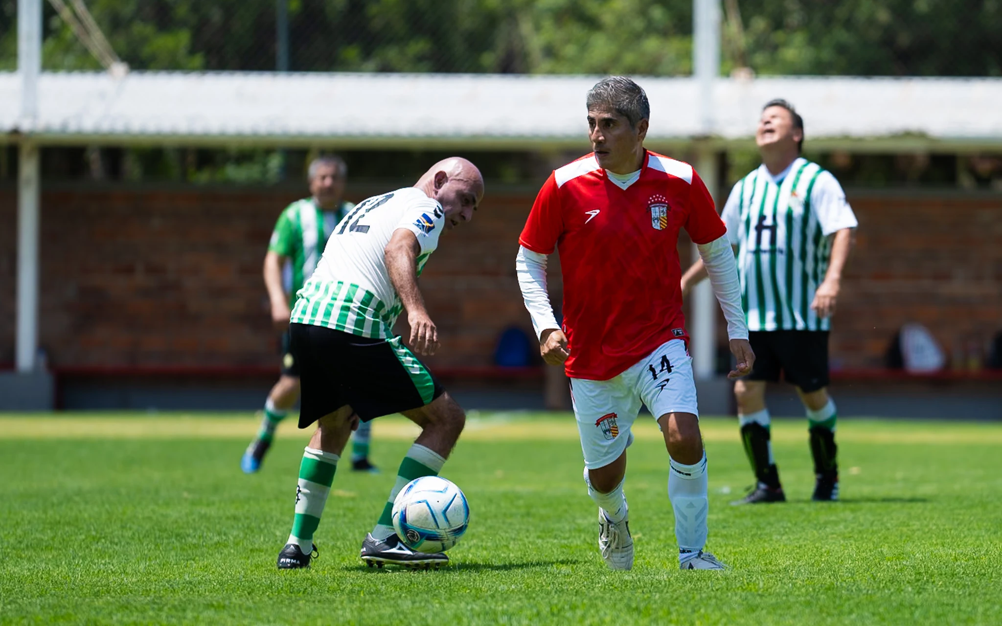 banner-partido