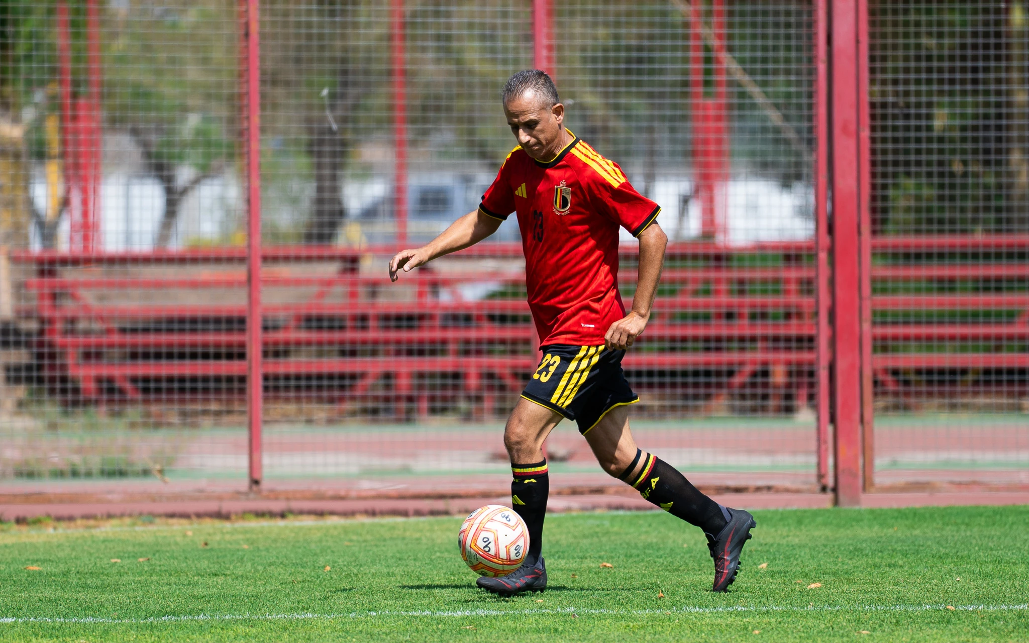banner-partido
