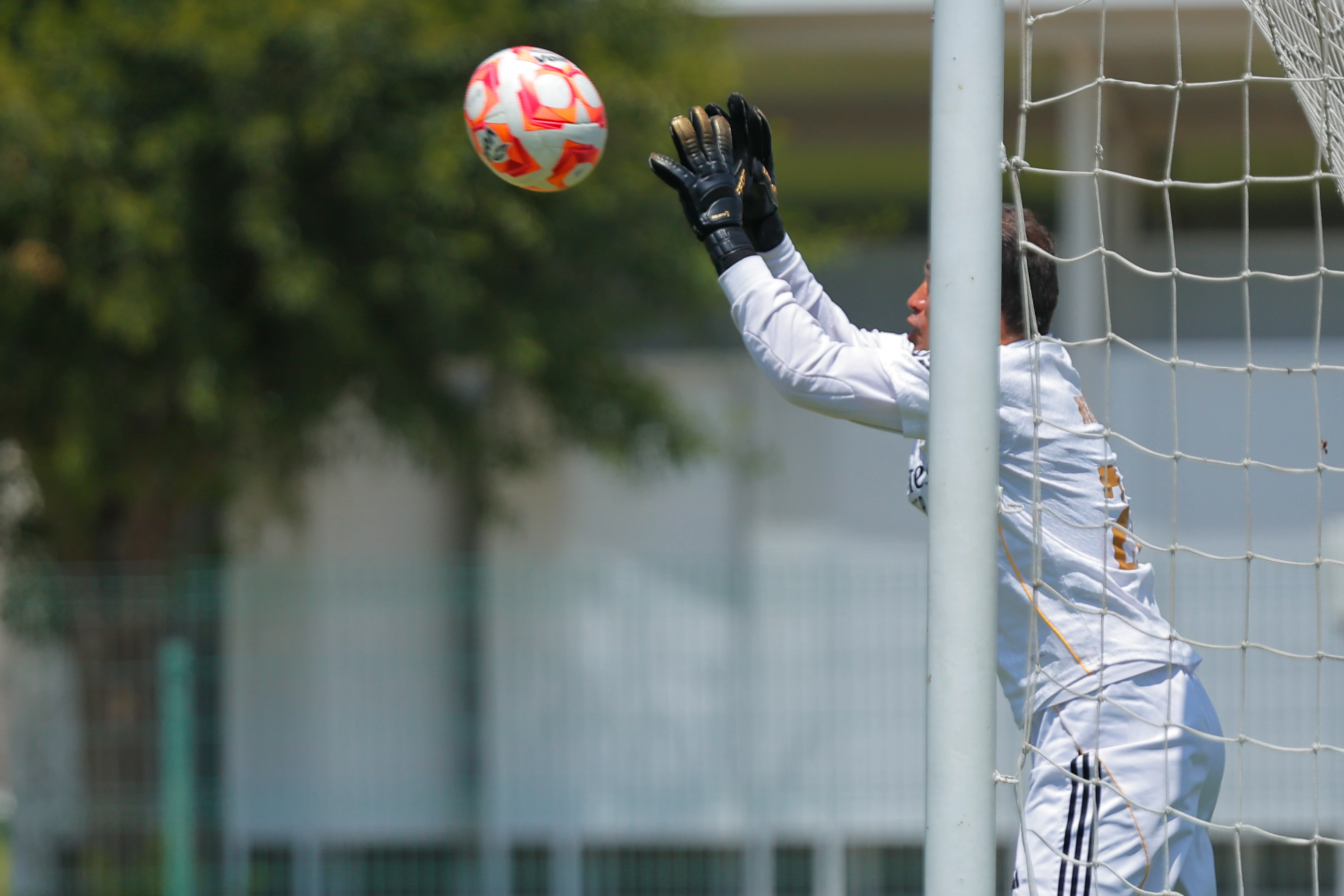 banner-partido
