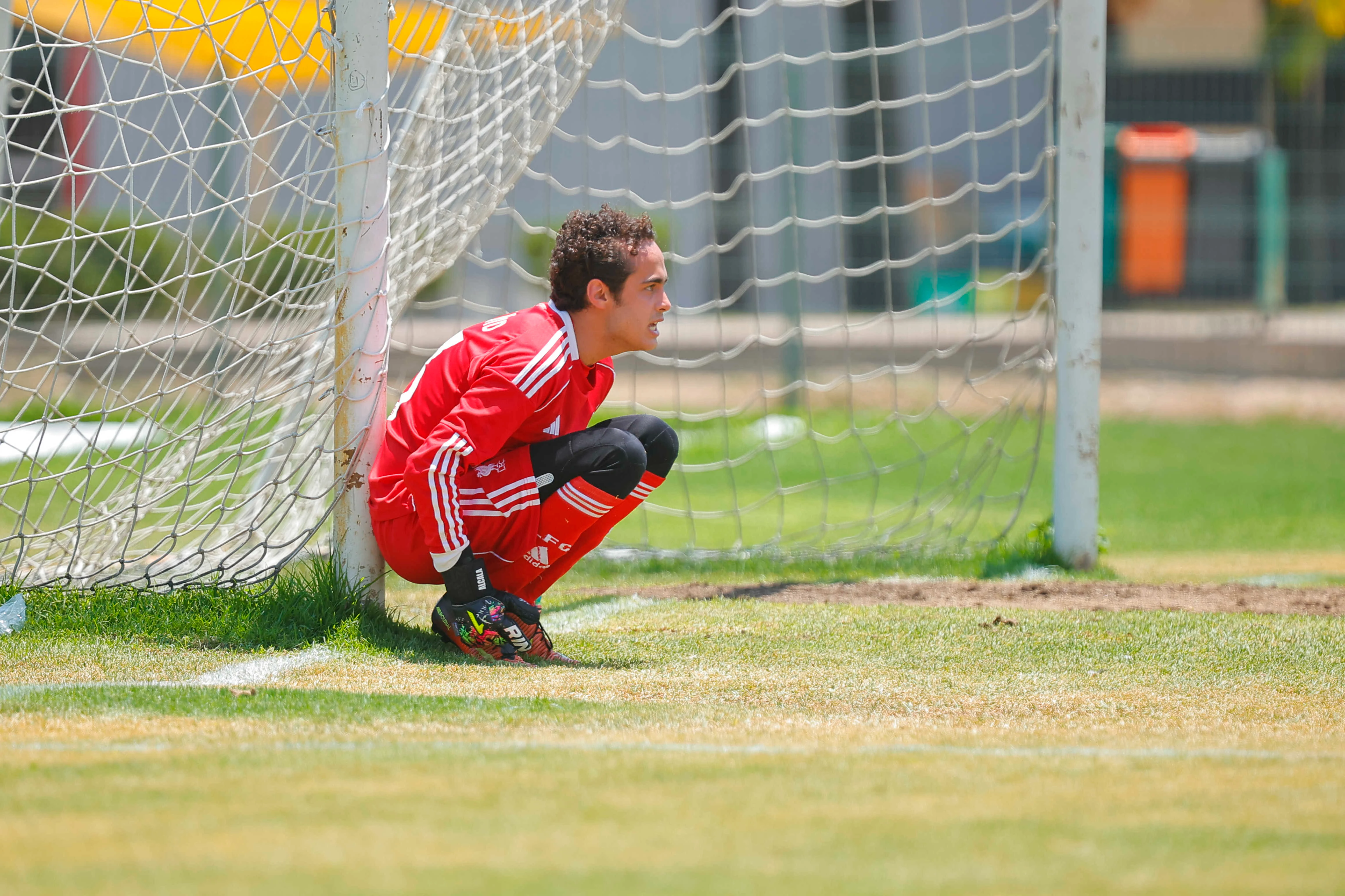 banner-partido
