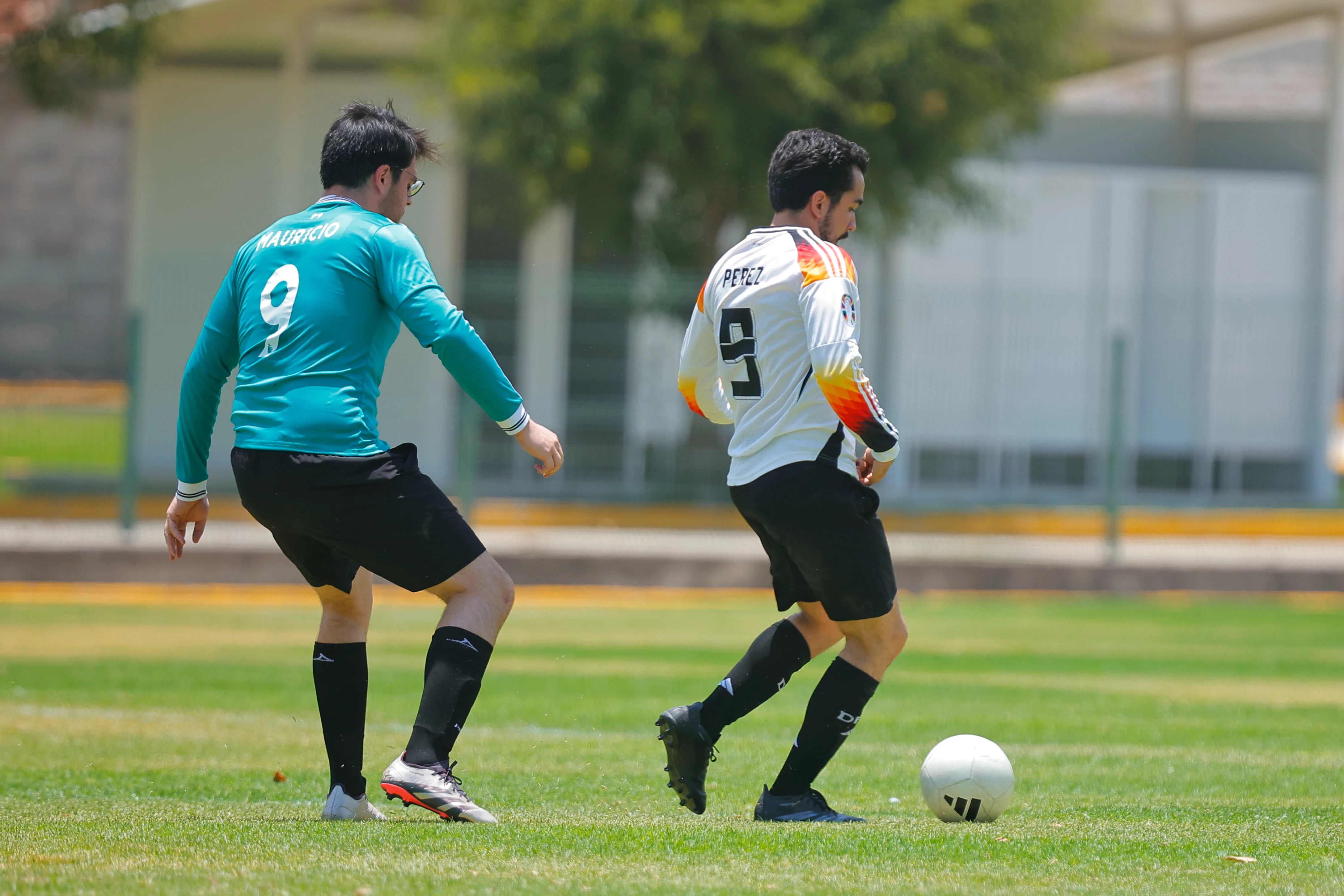 banner-partido