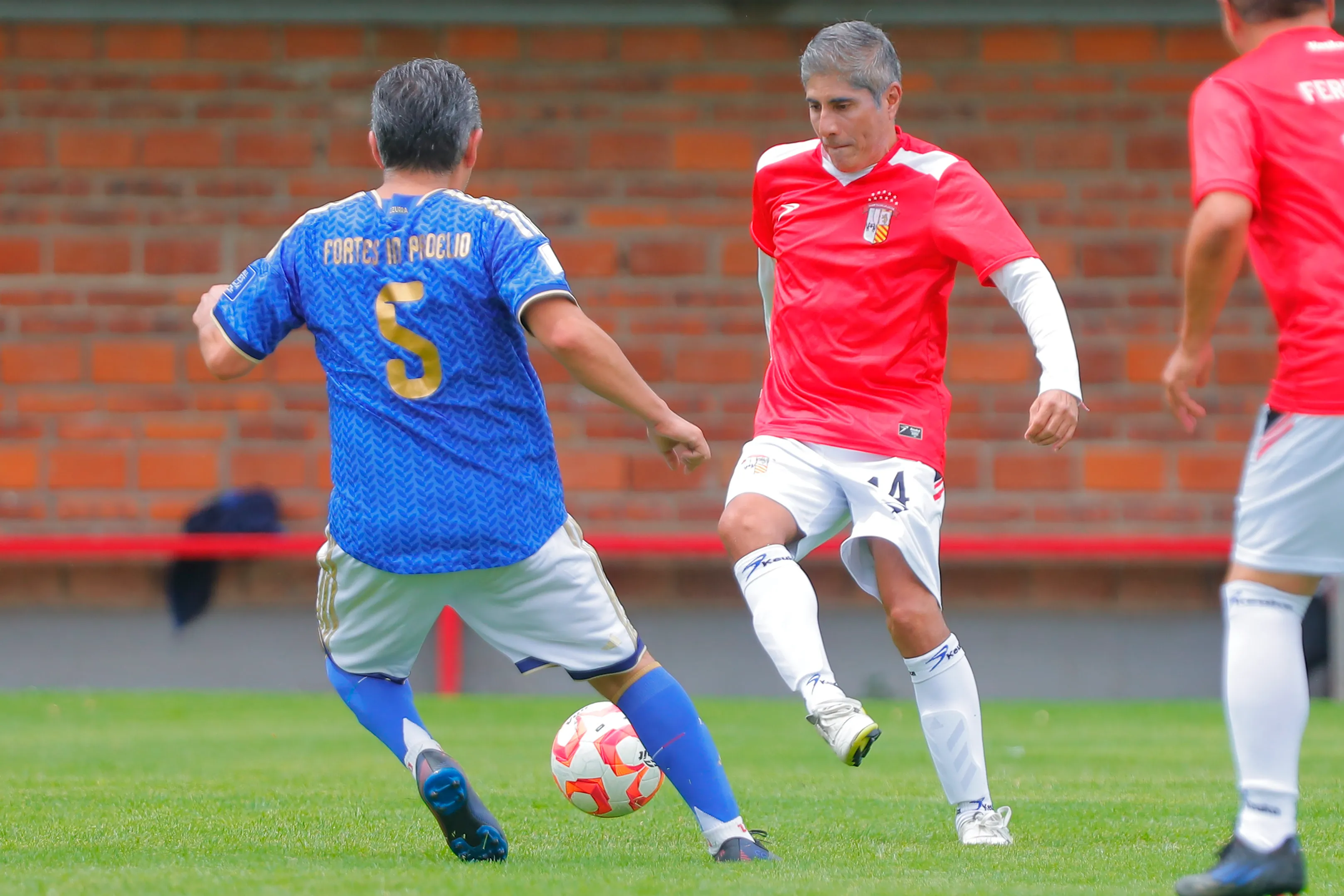 banner-partido